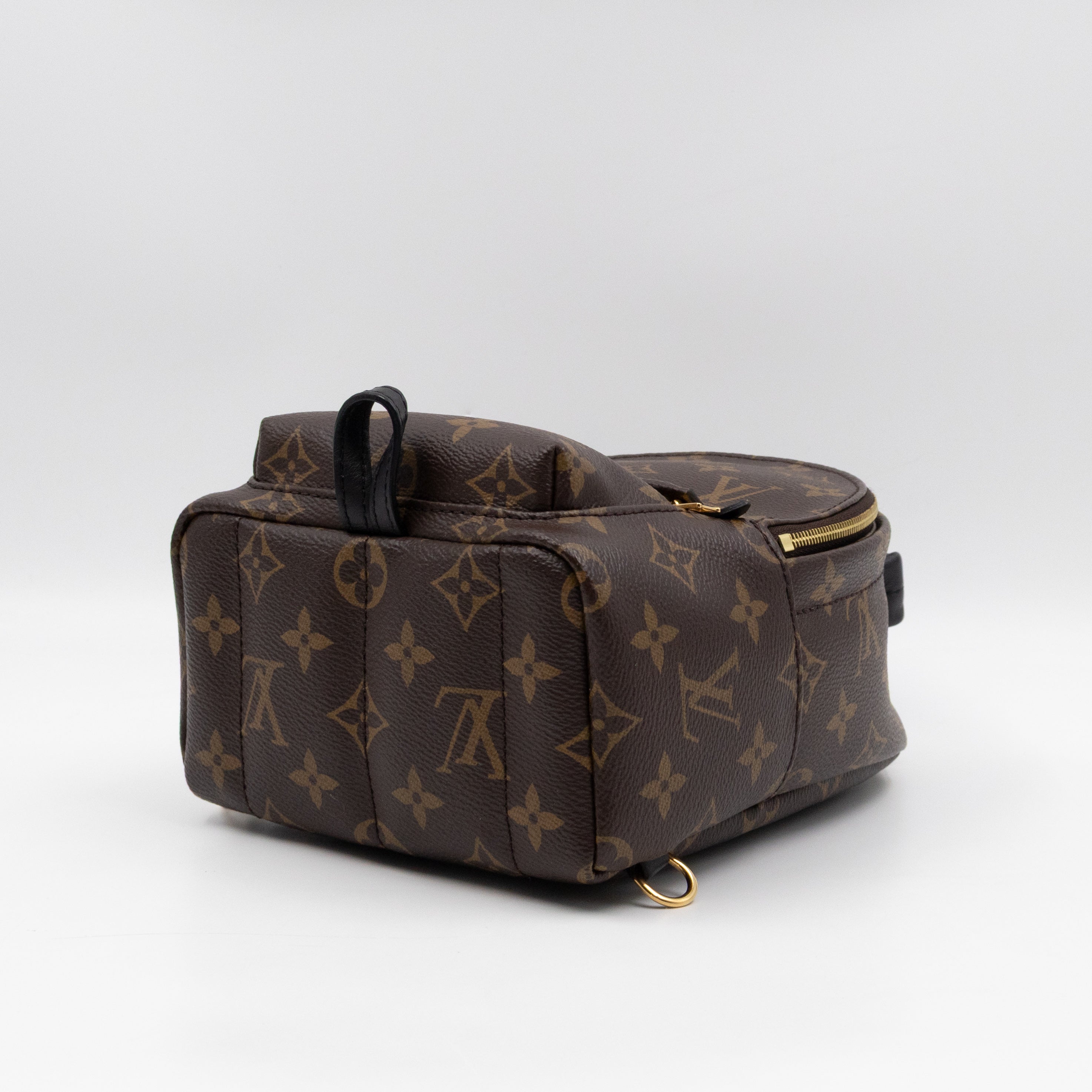 Palm Springs Backpack Mini Monogram Macassar