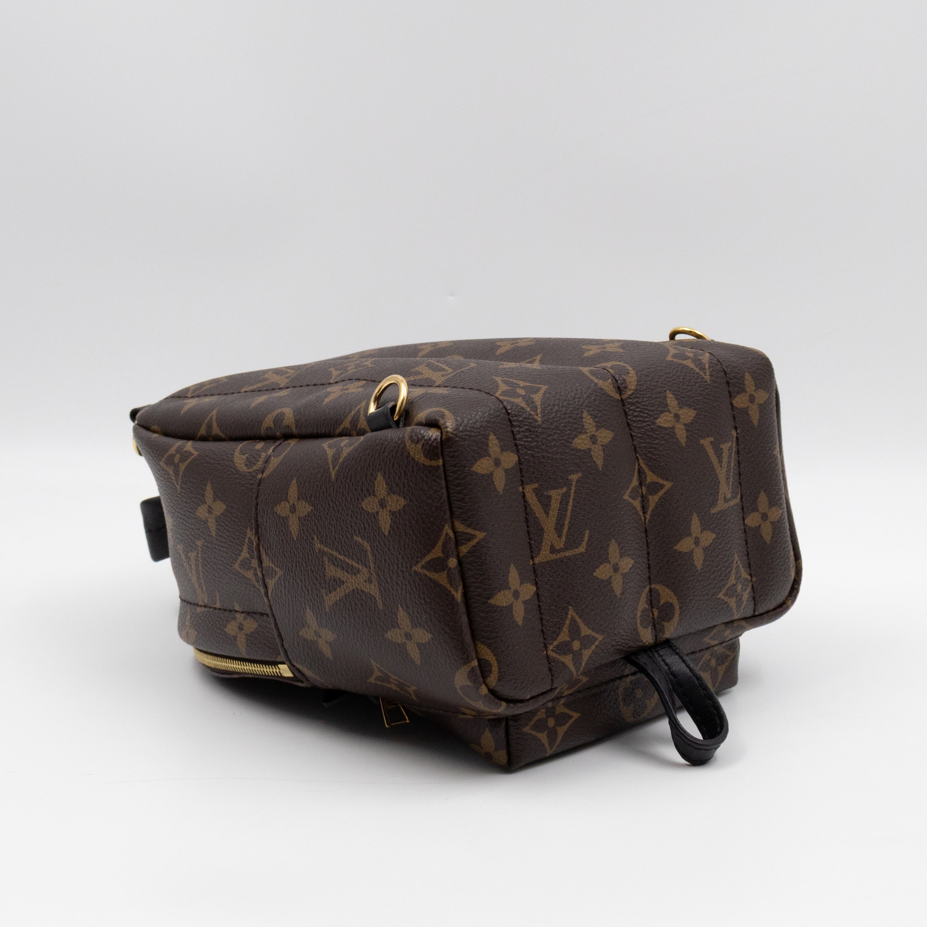 Palm Springs Backpack Mini Monogram Macassar