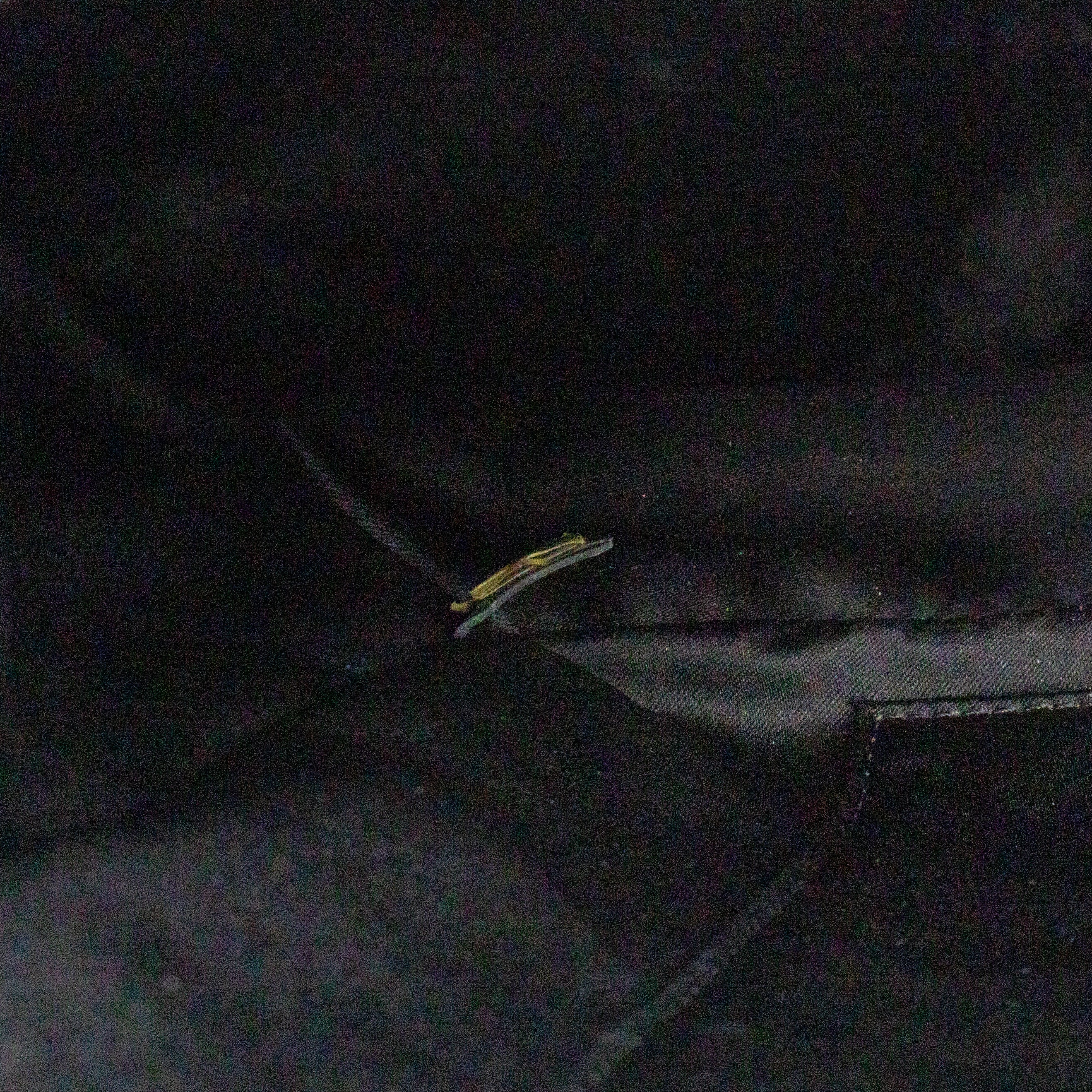 GST Grand Shopping Tote Black Caviar Gold