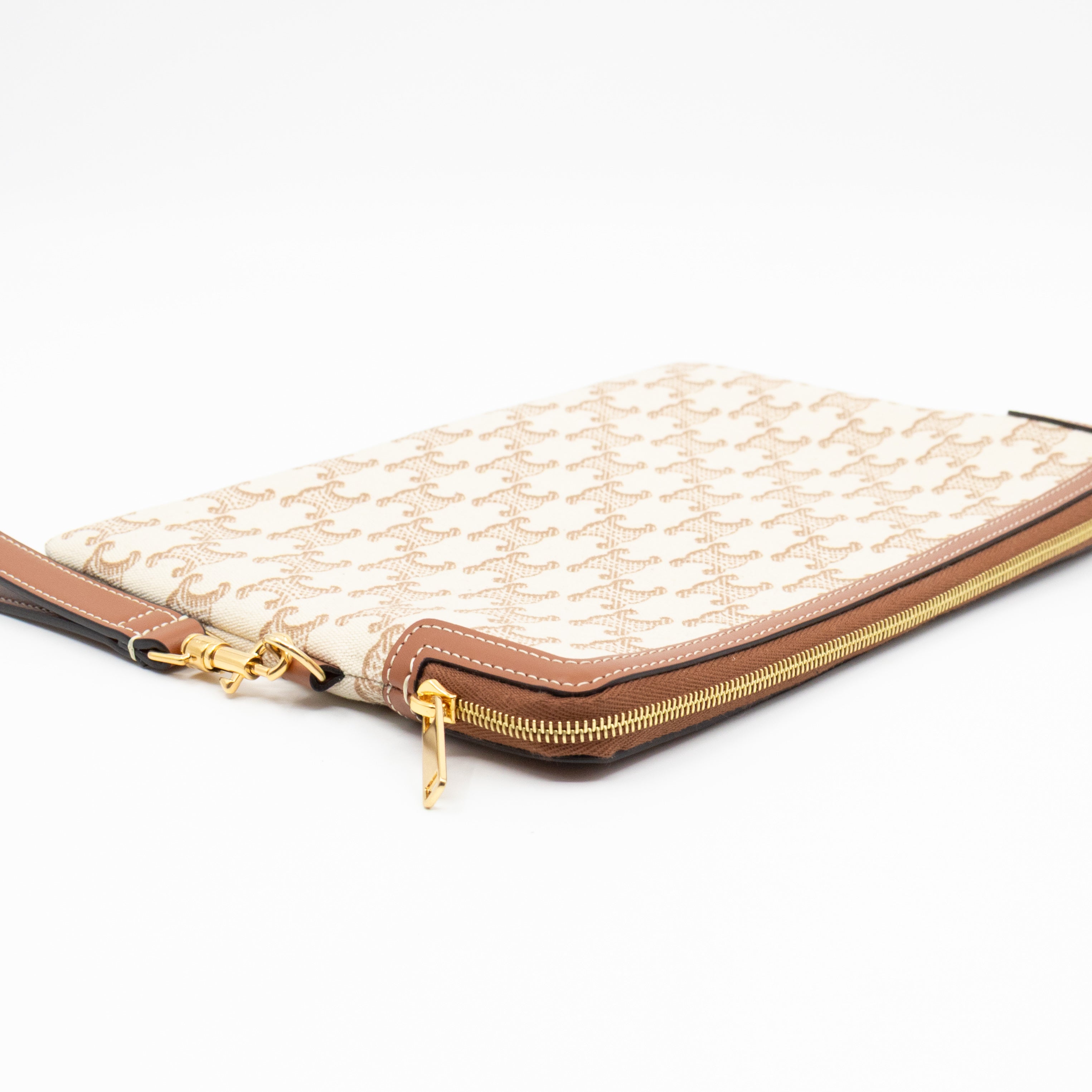 Small Pouch With Strap White Triomphe Canvas