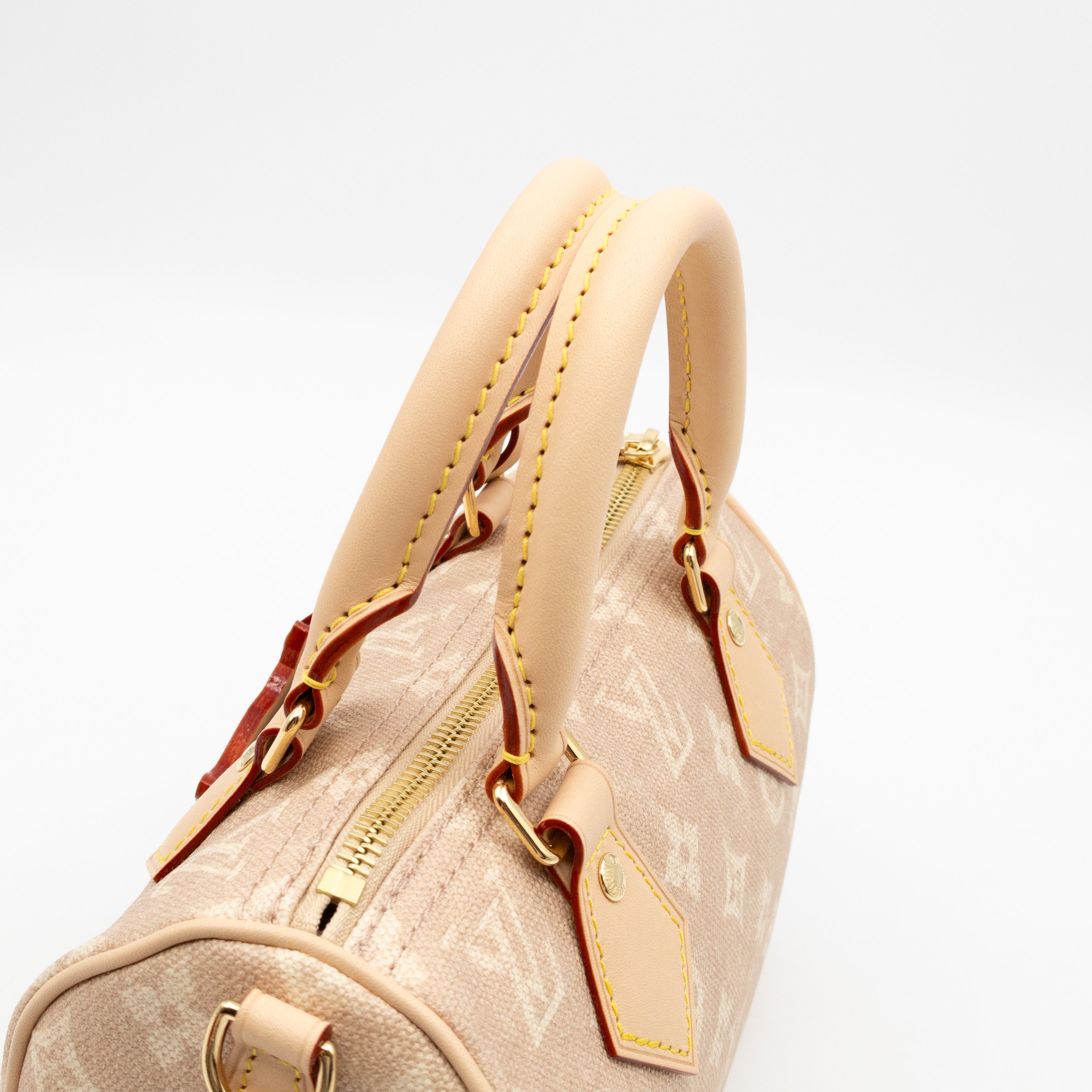 Speedy 20 Bandouliere Meowgram Canvas