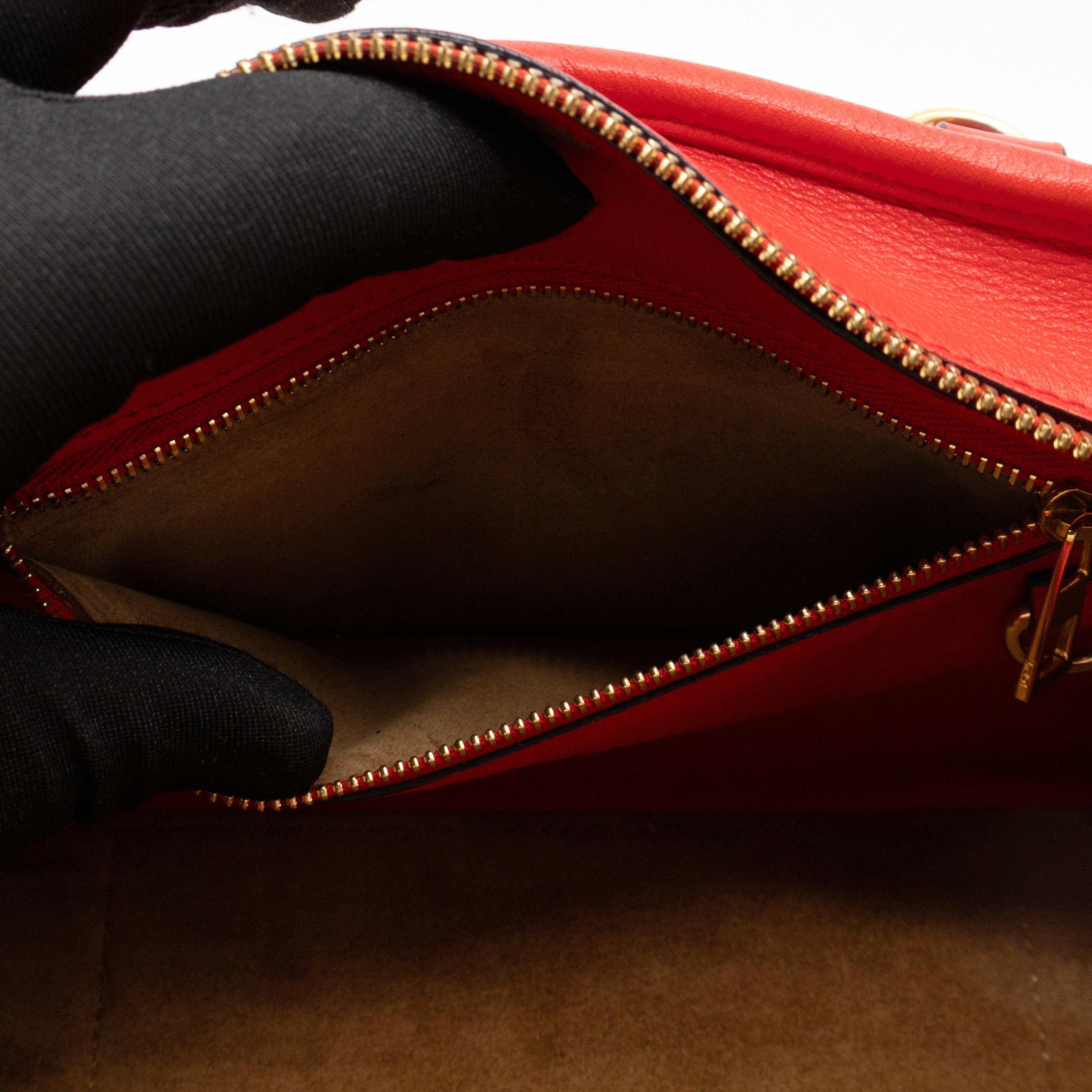 Amazona 23 Crossbody Bag Red Leather