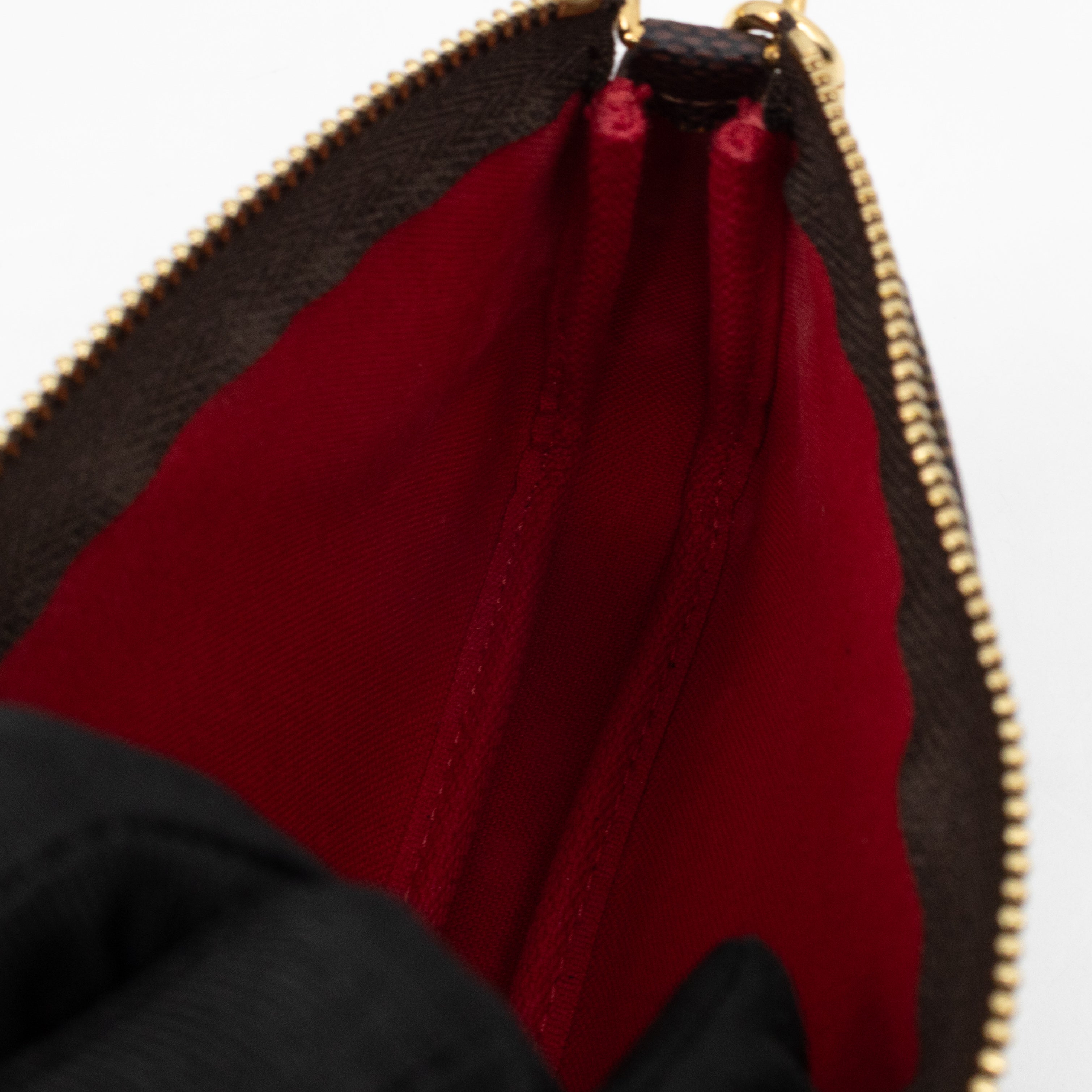 Mini Pochette Accessoires Monogram