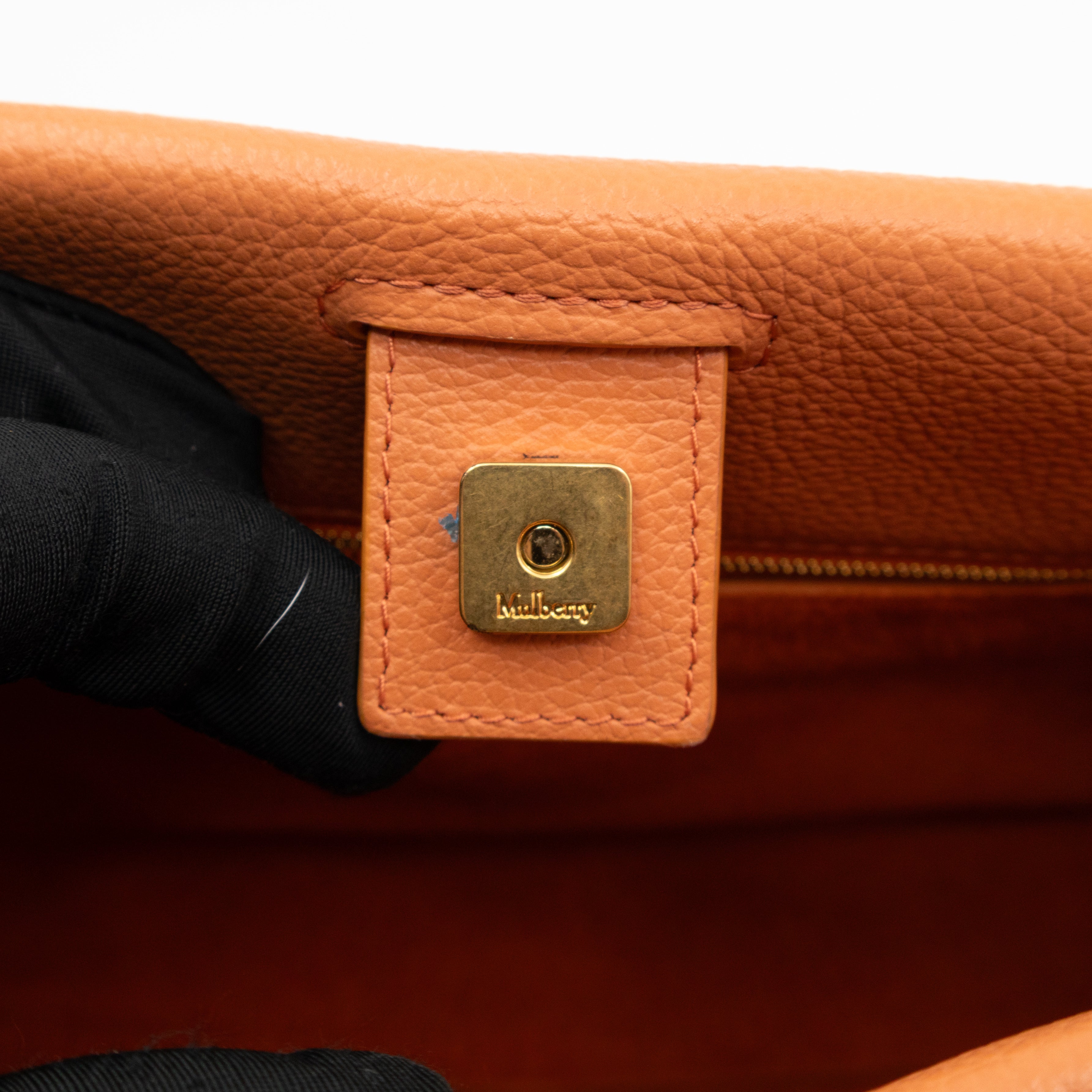 Small Iris Orange Leather