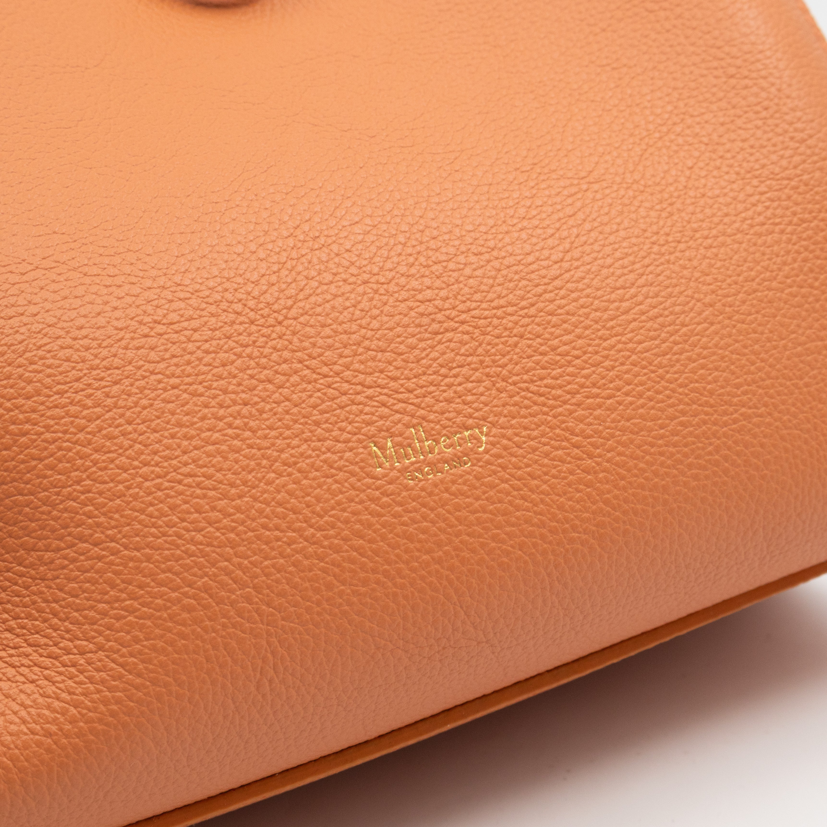 Small Iris Orange Leather