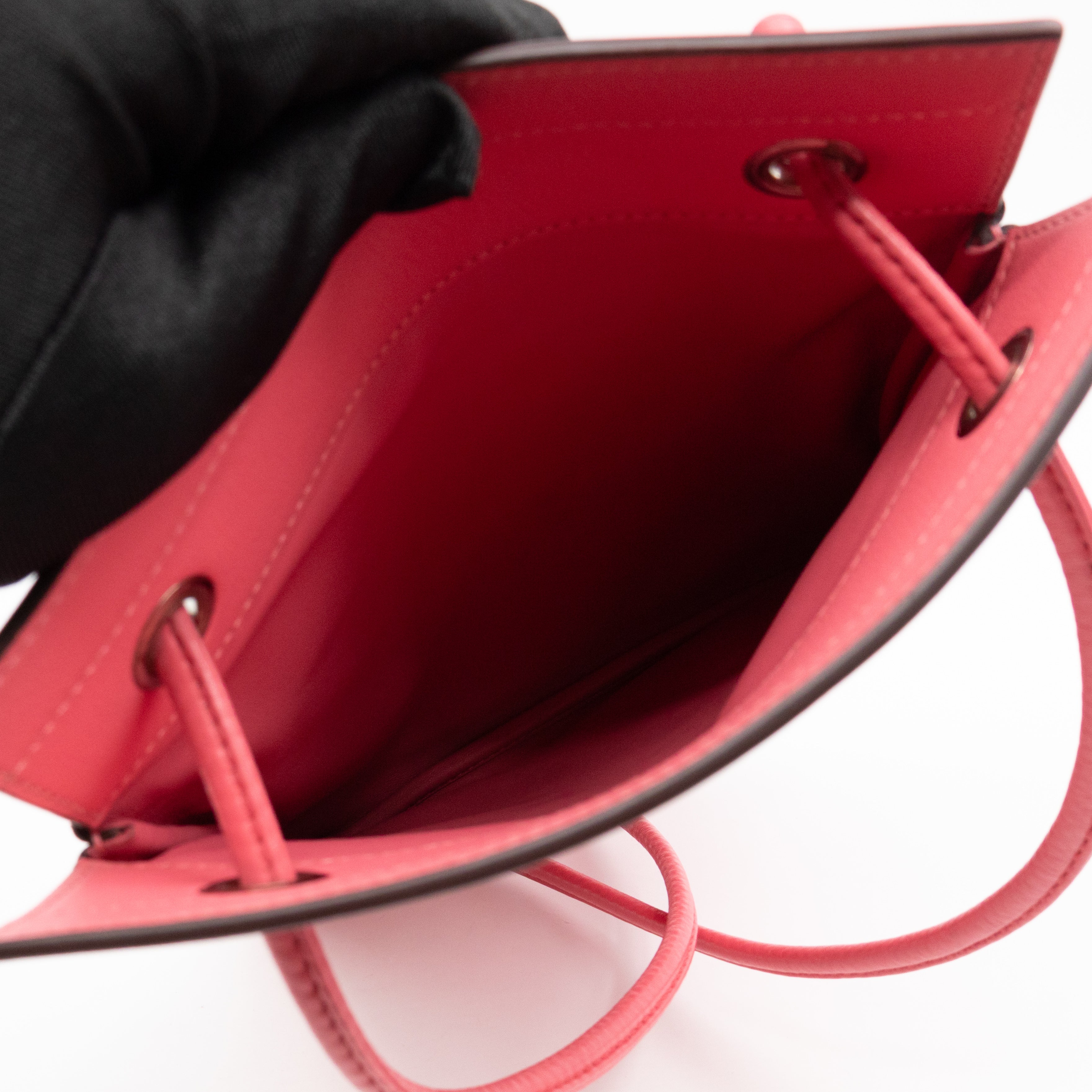 Aline Mini Rose Azalee Swift Leather