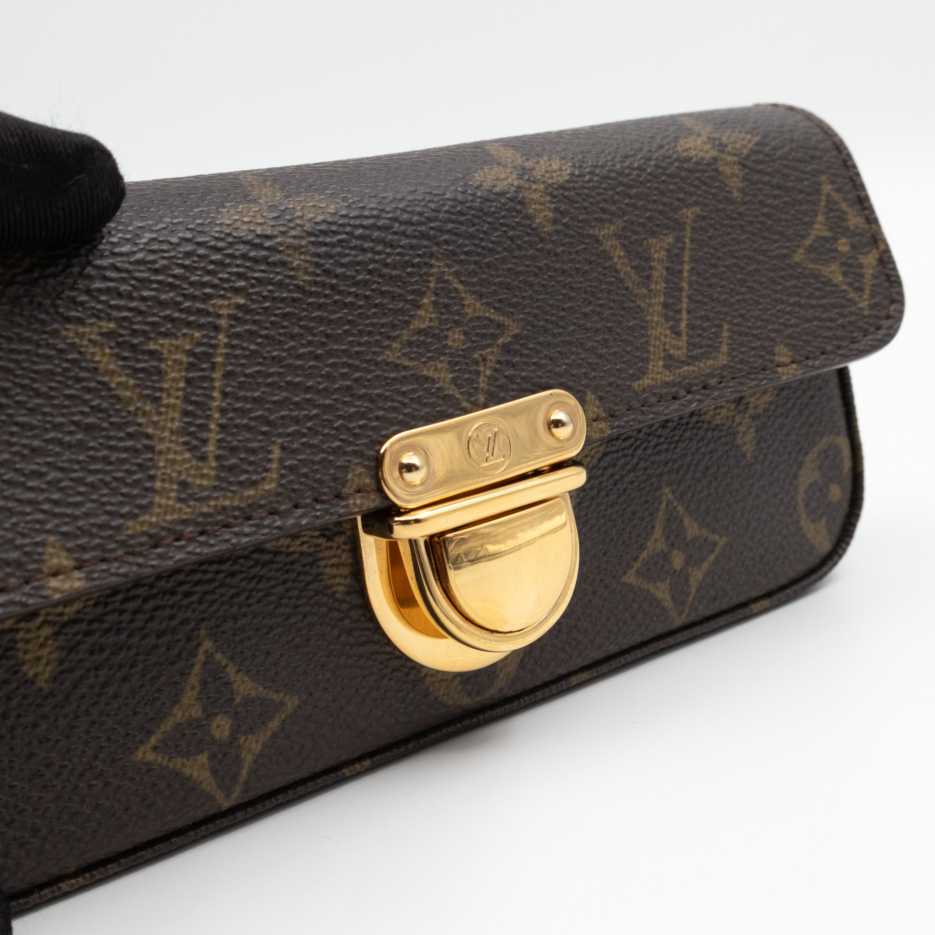 Pochette Lagoon Glasses Case Monogram