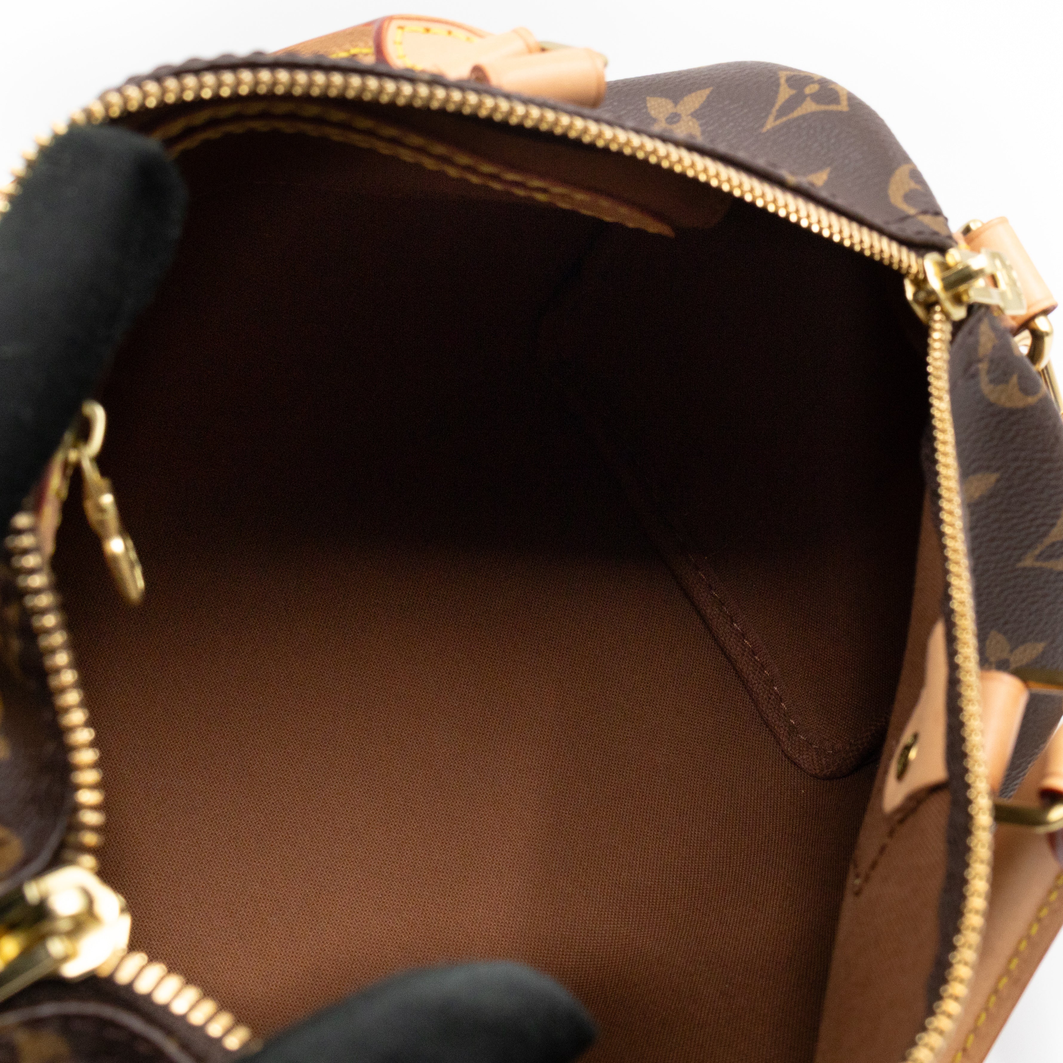 Speedy 25 Bandouliere Monogram