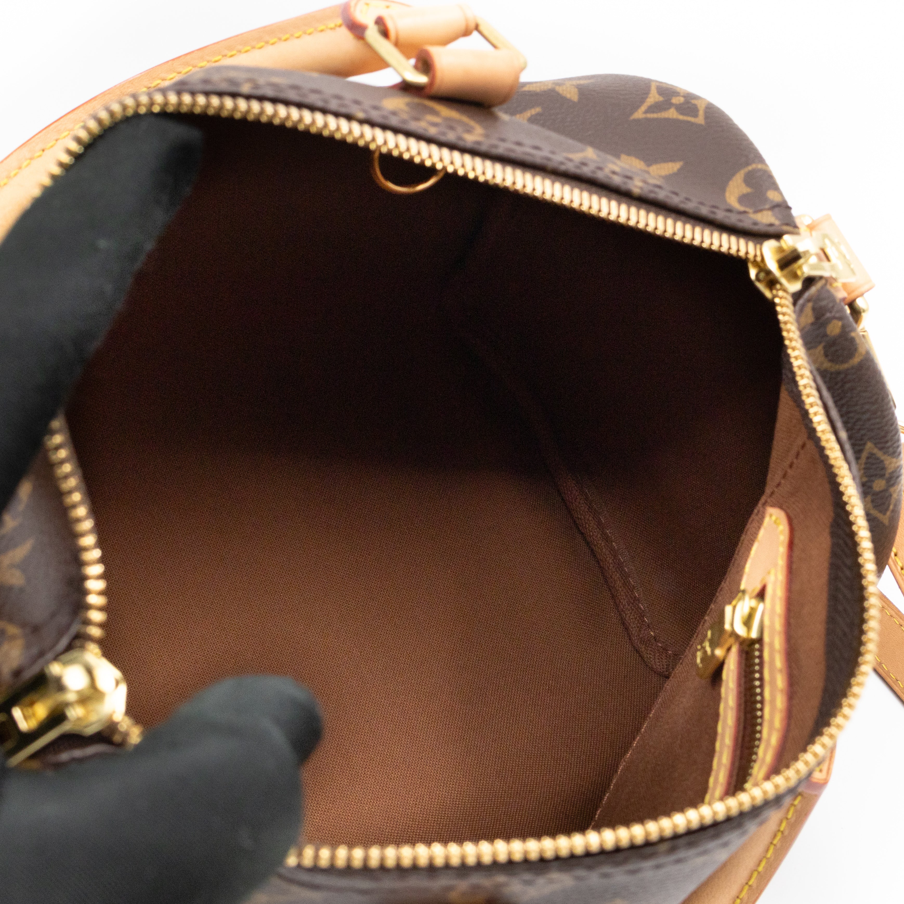 Speedy 25 Bandouliere Monogram