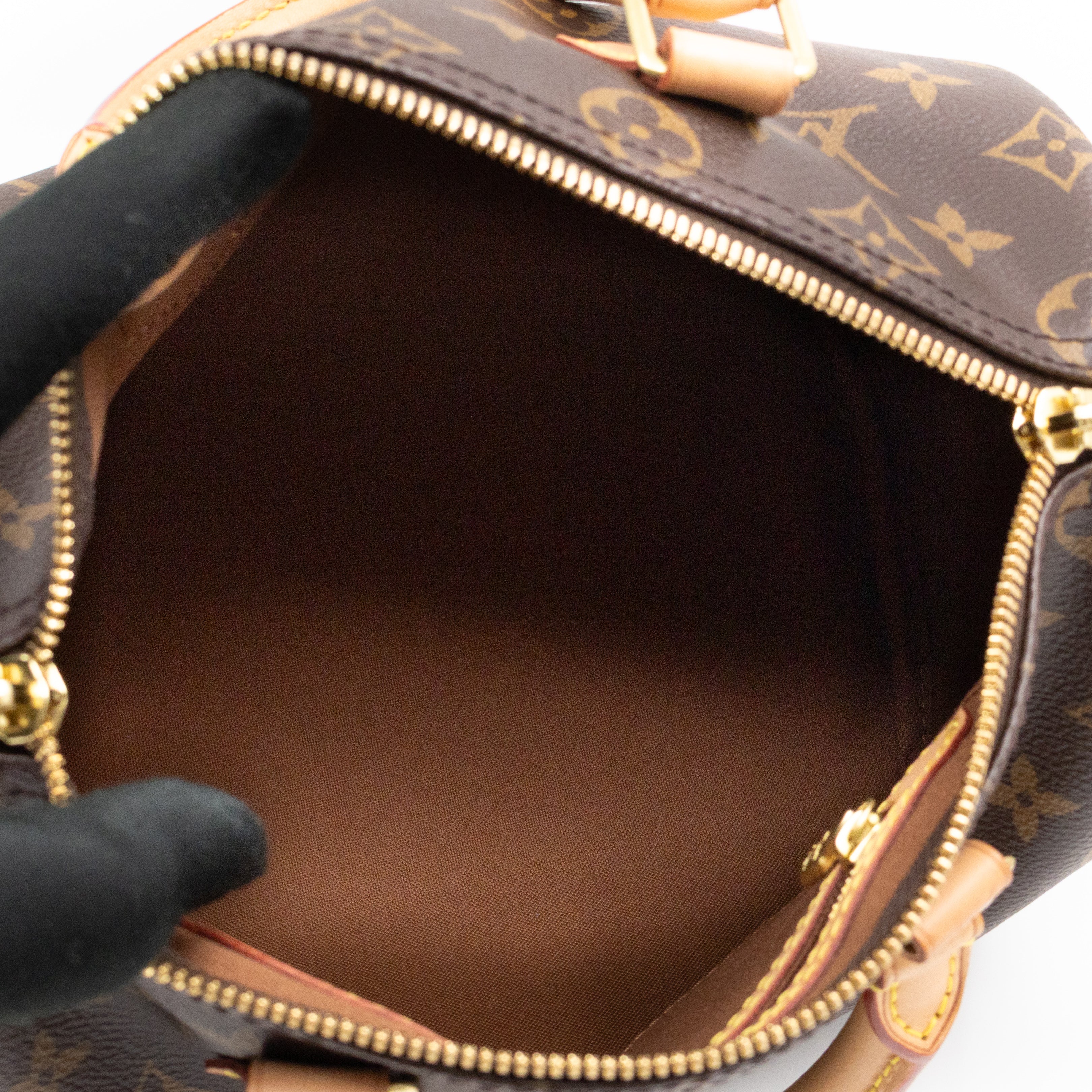 Speedy 25 Bandouliere Monogram