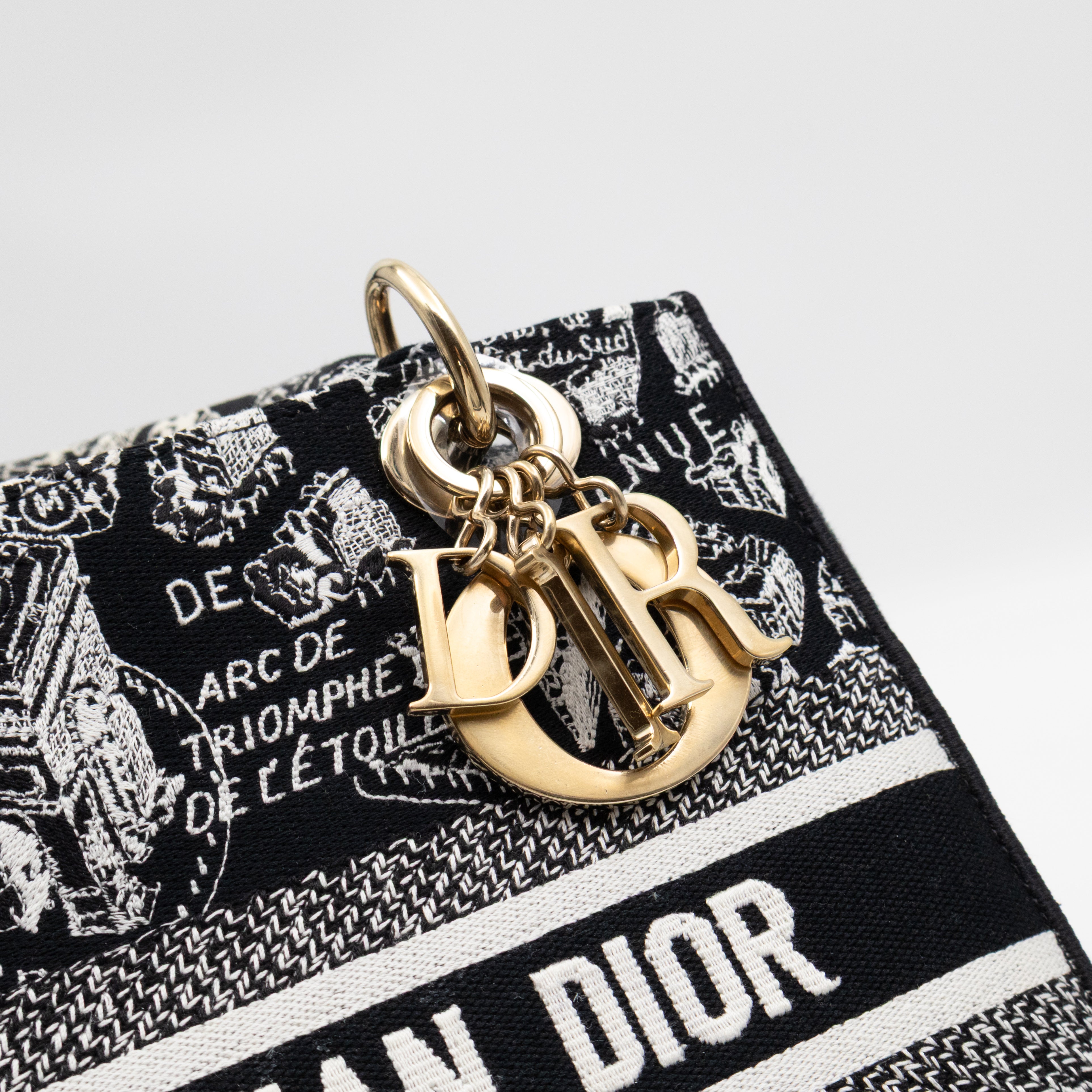 Lady D-Lite Medium Plan de Paris Black Canvas Embroidery Cannage