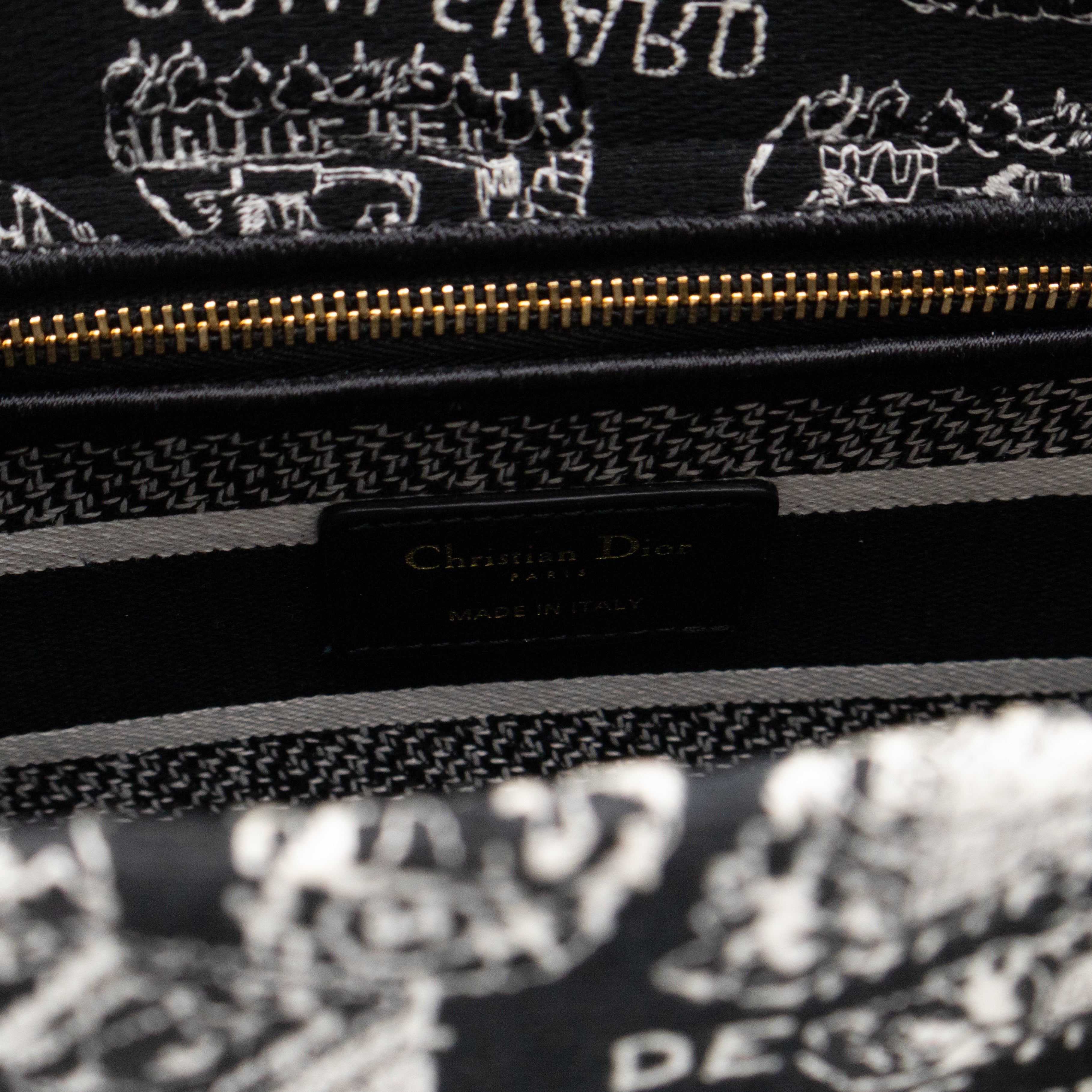 Lady D-Lite Medium Plan de Paris Black Canvas Embroidery Cannage