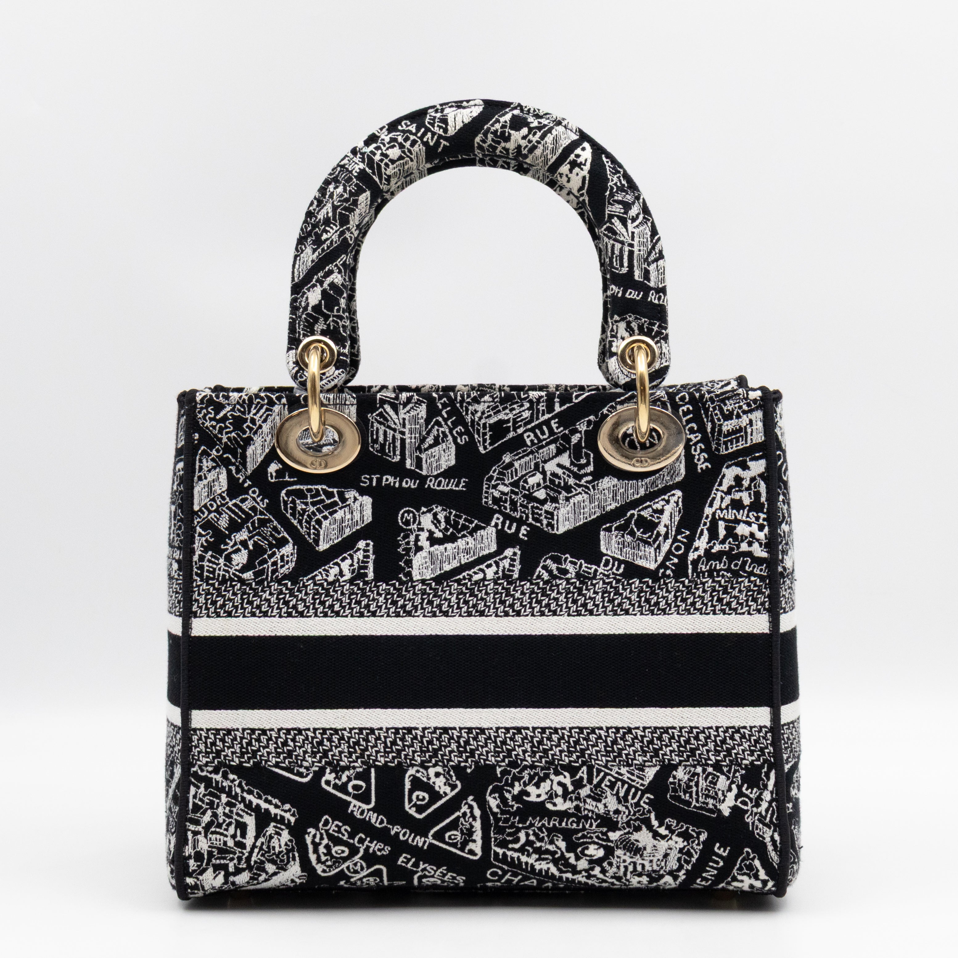 Lady D-Lite Medium Plan de Paris Black Canvas Embroidery Cannage