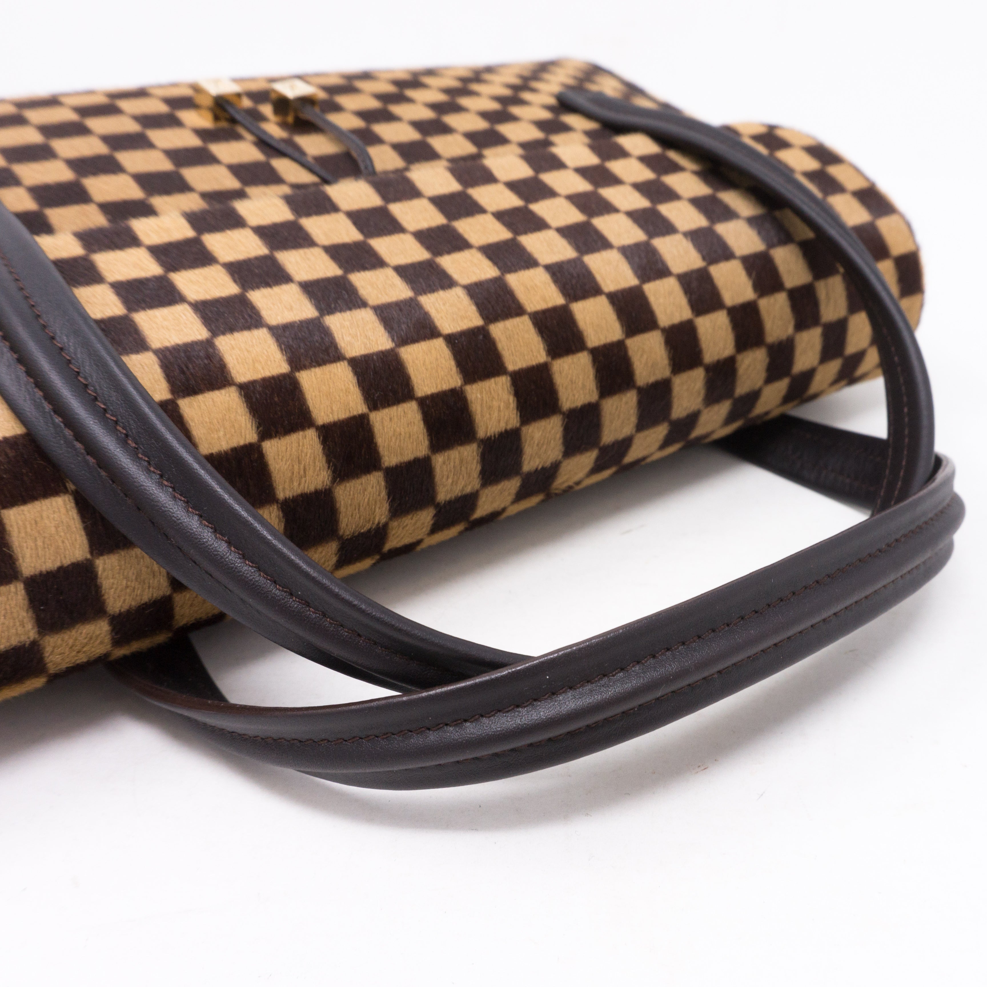 Lionne Damier Sauvage