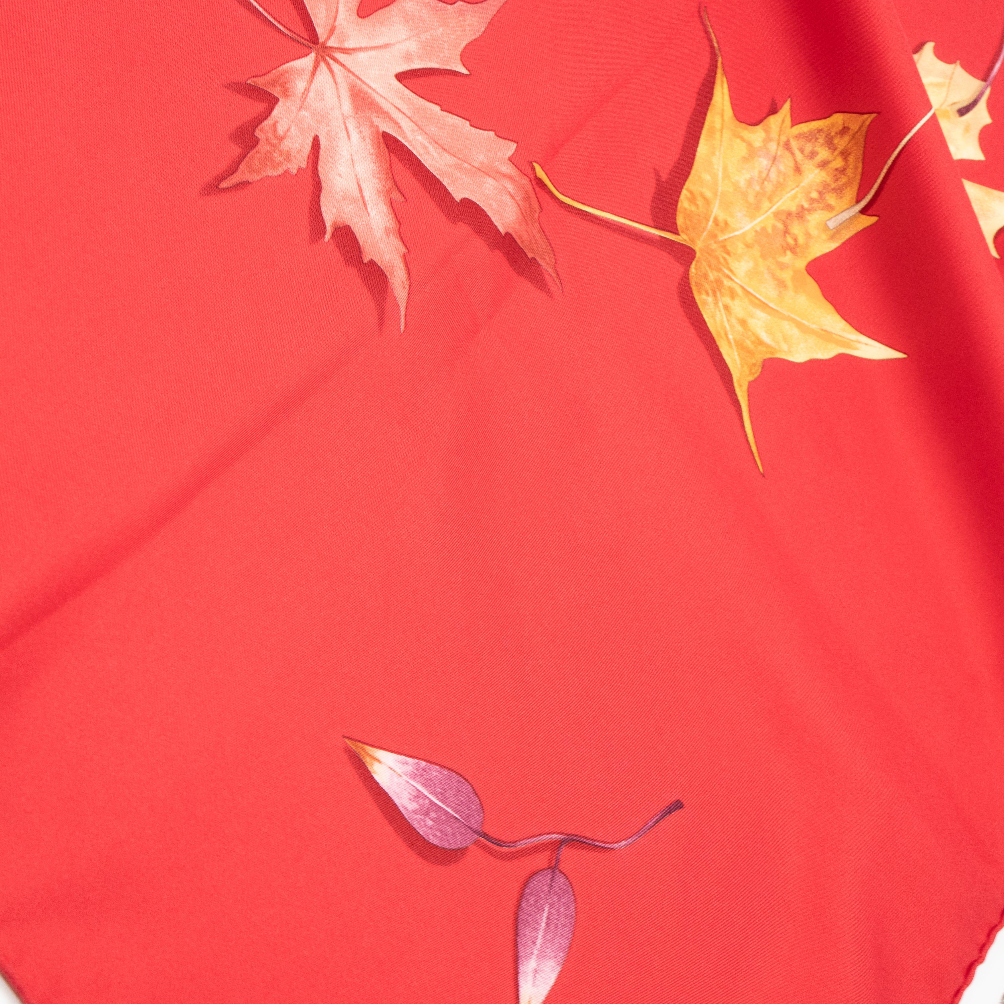 Silk Scarf 90 A Walk in the Park
