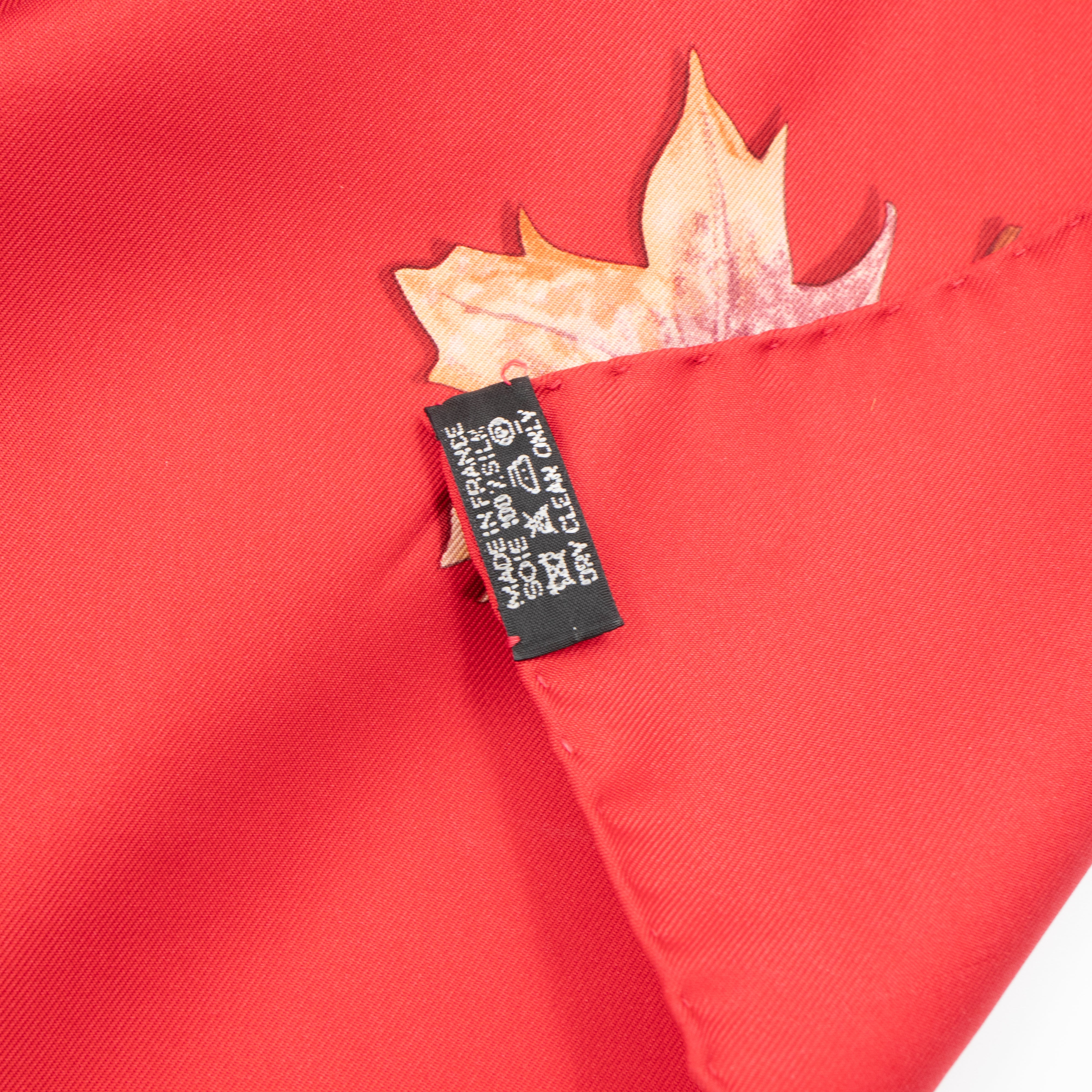 Silk Scarf 90 A Walk in the Park