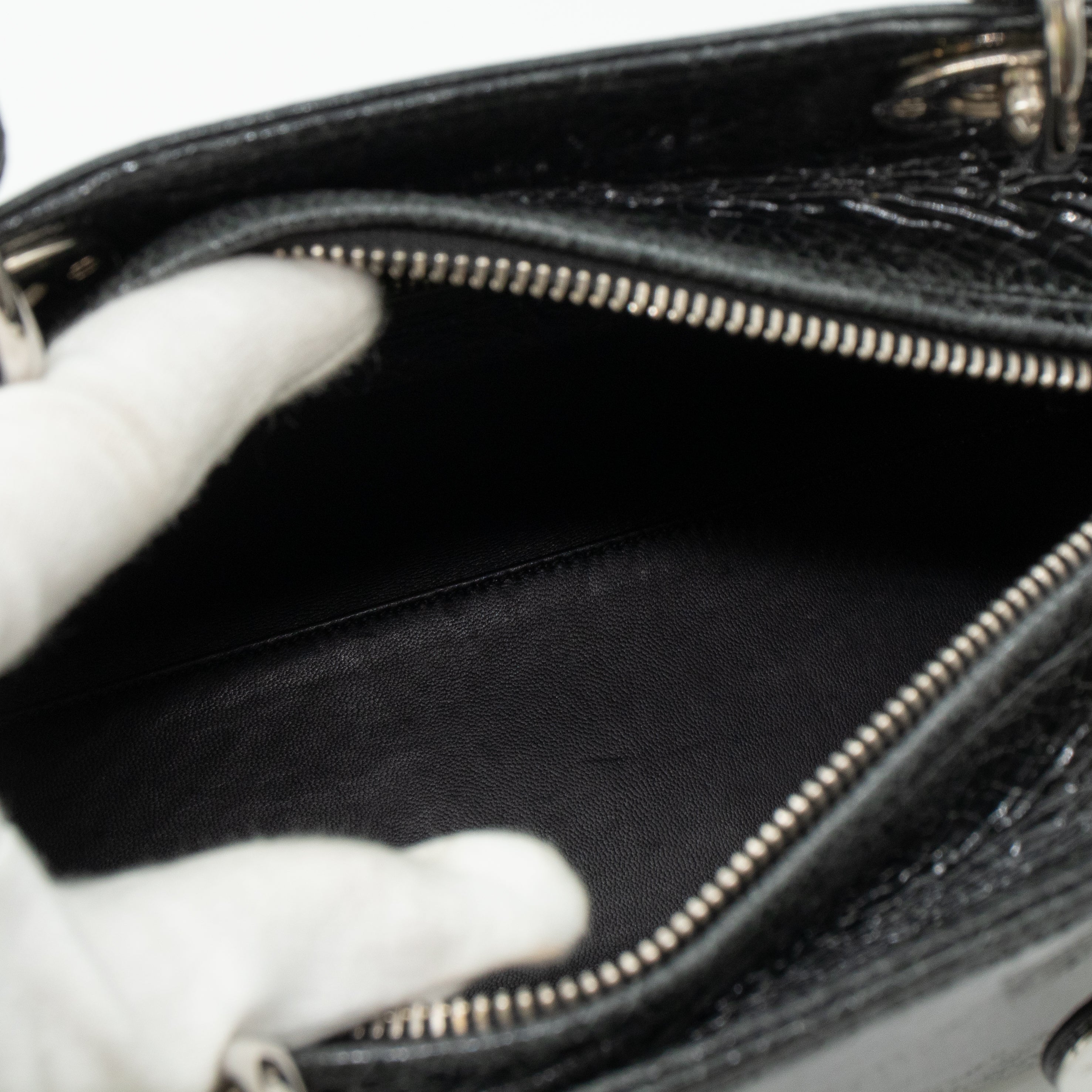 Lady Dior Medium Jeweled Swan Black Leather