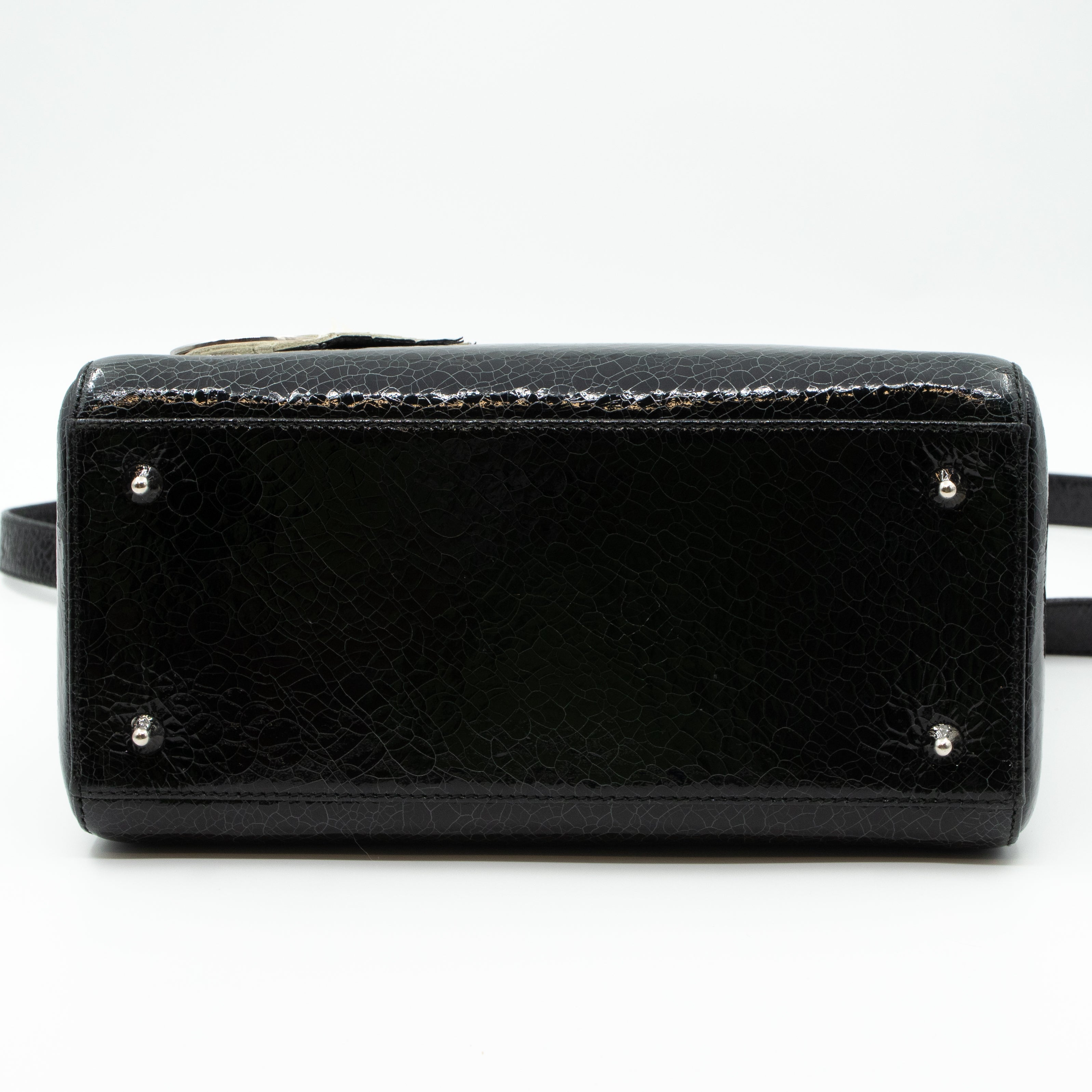 Lady Dior Medium Jeweled Swan Black Leather