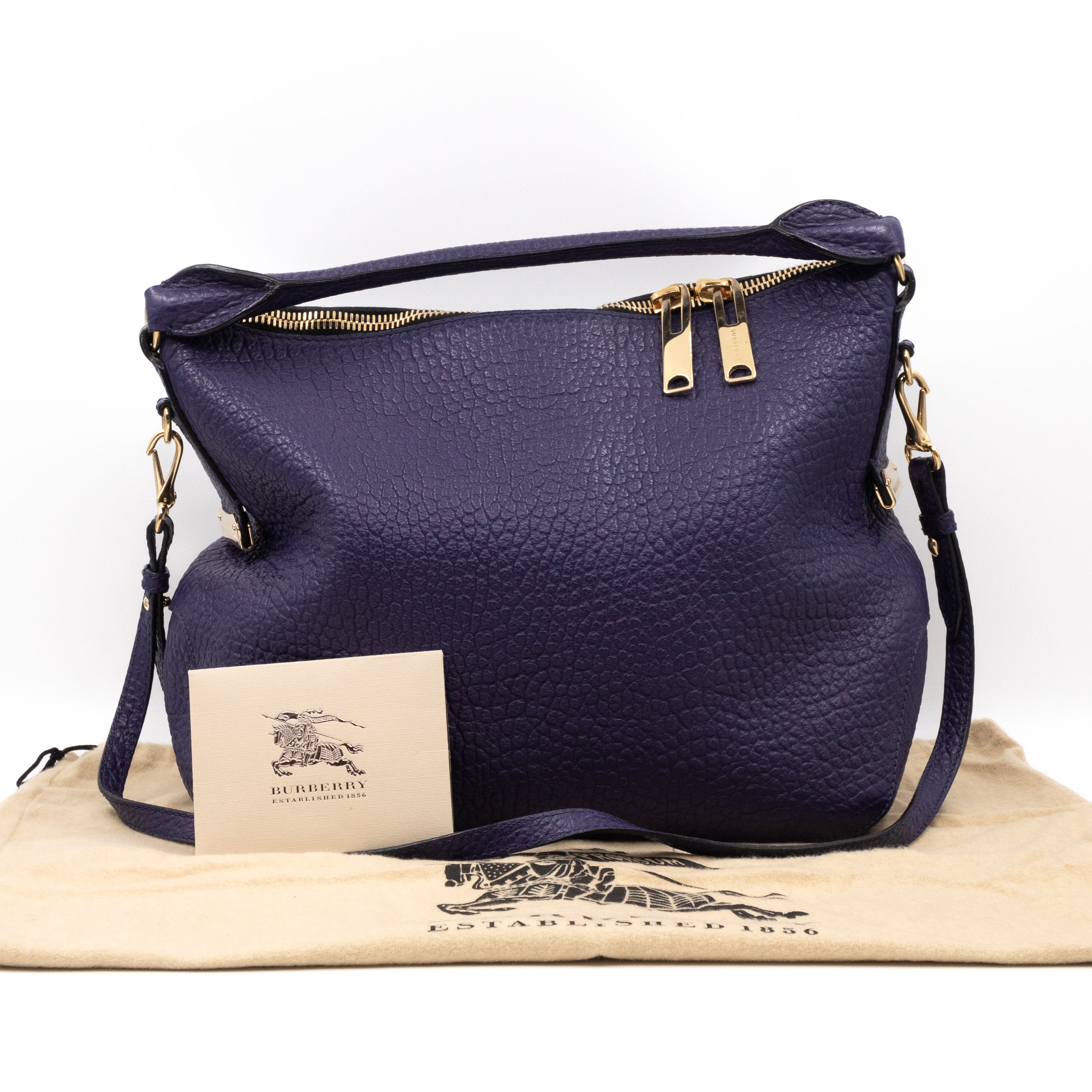 Ledbury Convertible Hobo Small Blue Leather