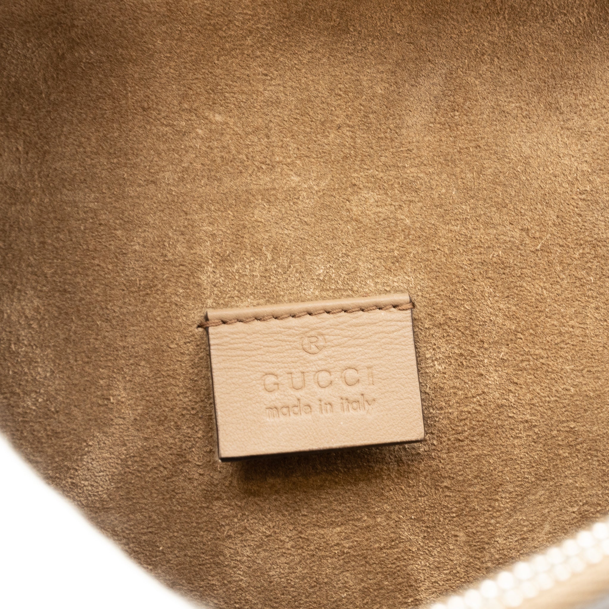 Dionysus Medium GG Supreme Phoenix Embroidered