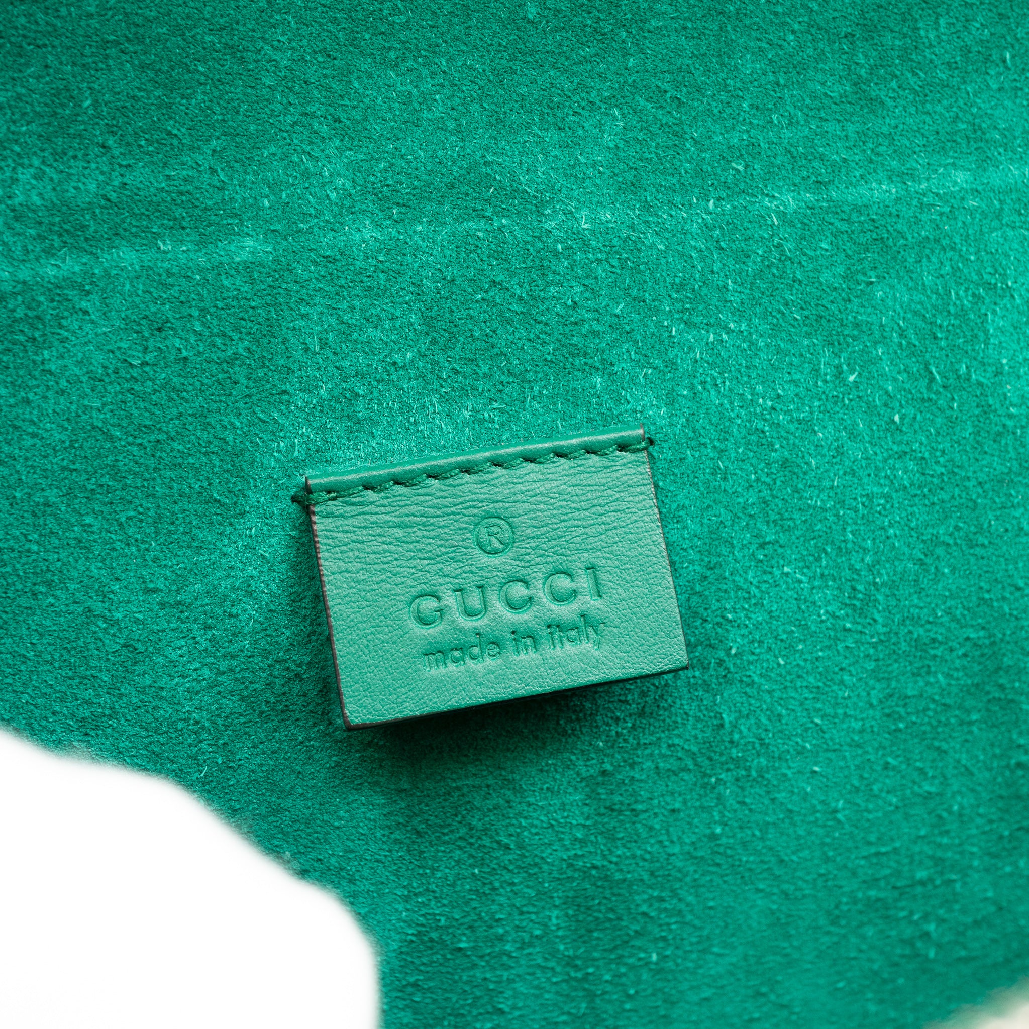 Dionysus Medium GG Supreme Modern Embroidered