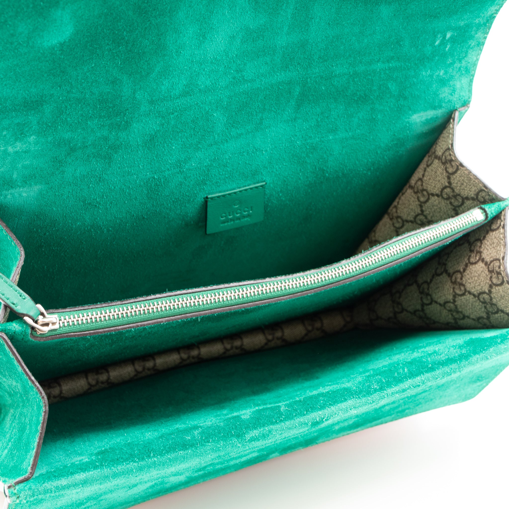 Dionysus Medium GG Supreme Modern Embroidered