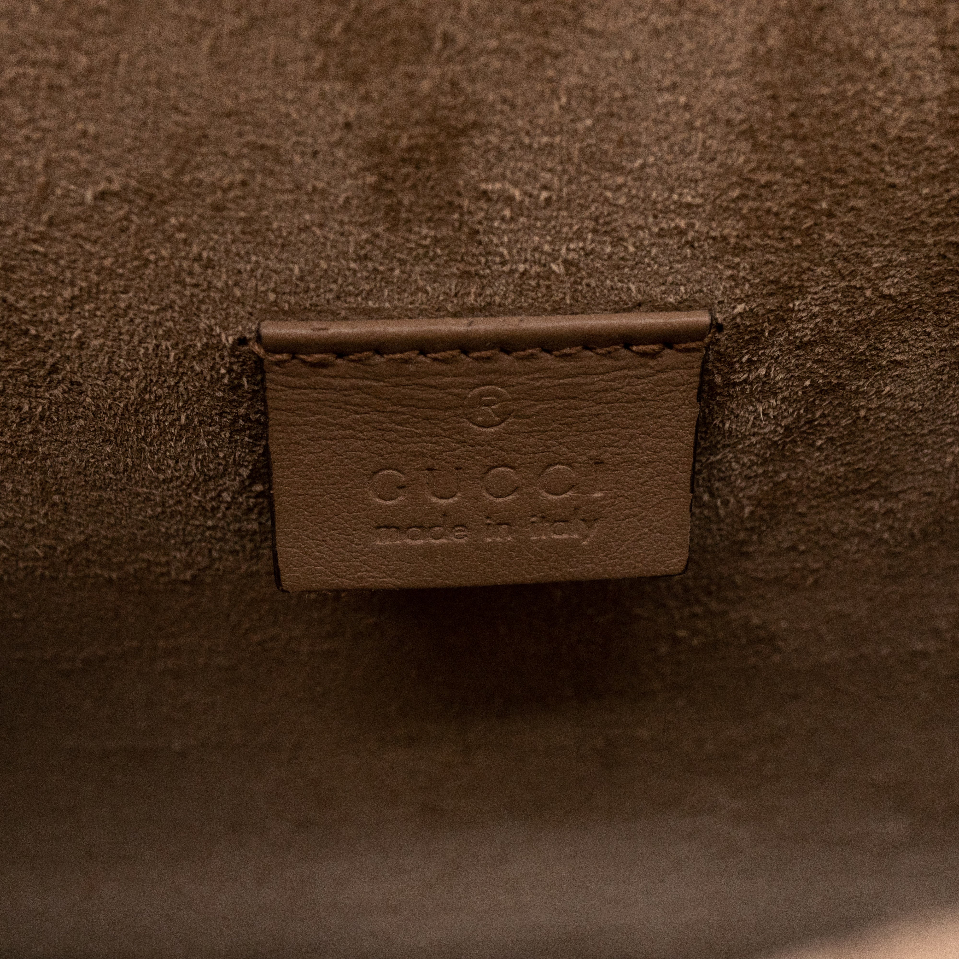 Dionysus Mini GG Supreme