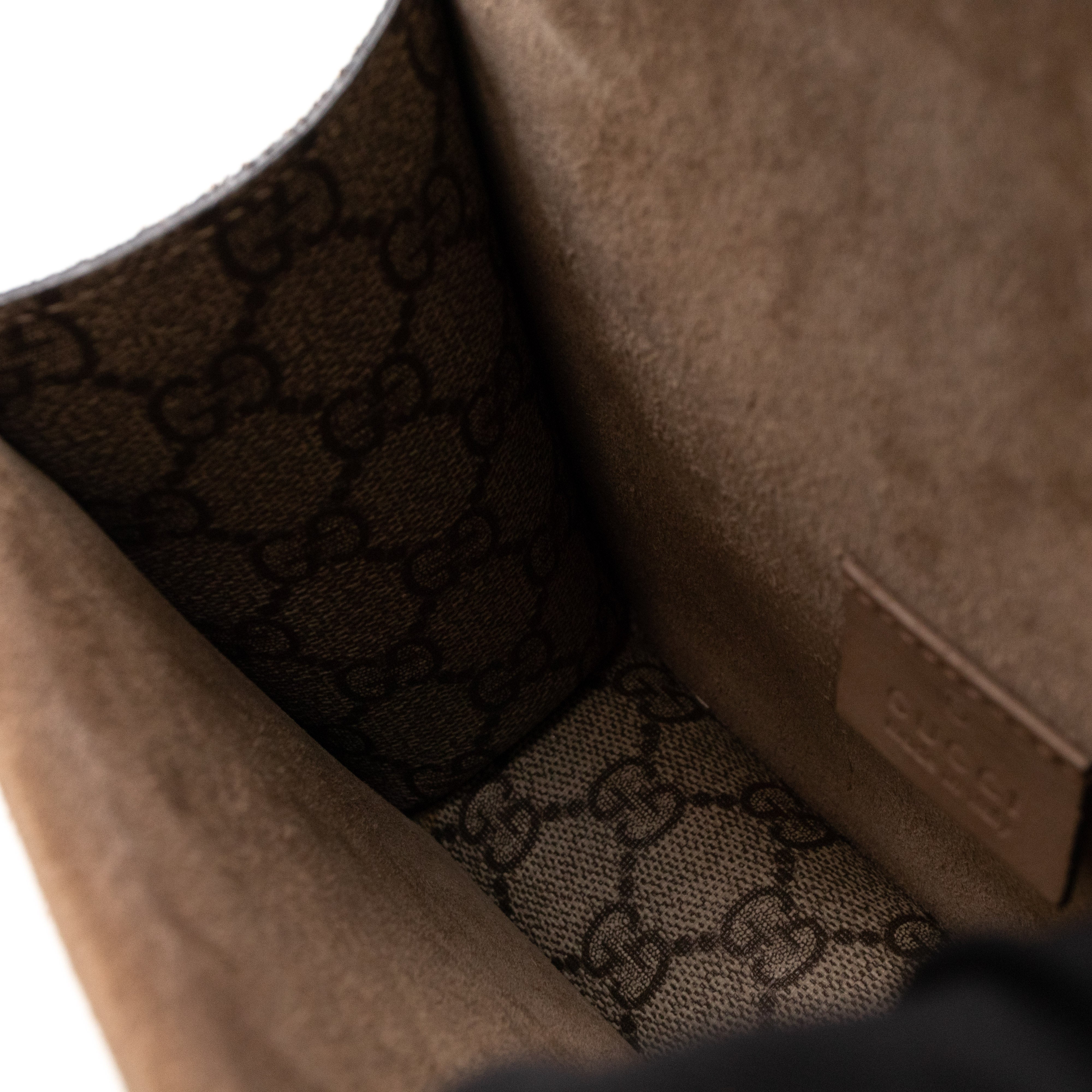 Dionysus Mini GG Supreme