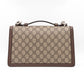 Dionysus Top Handle GG Supreme