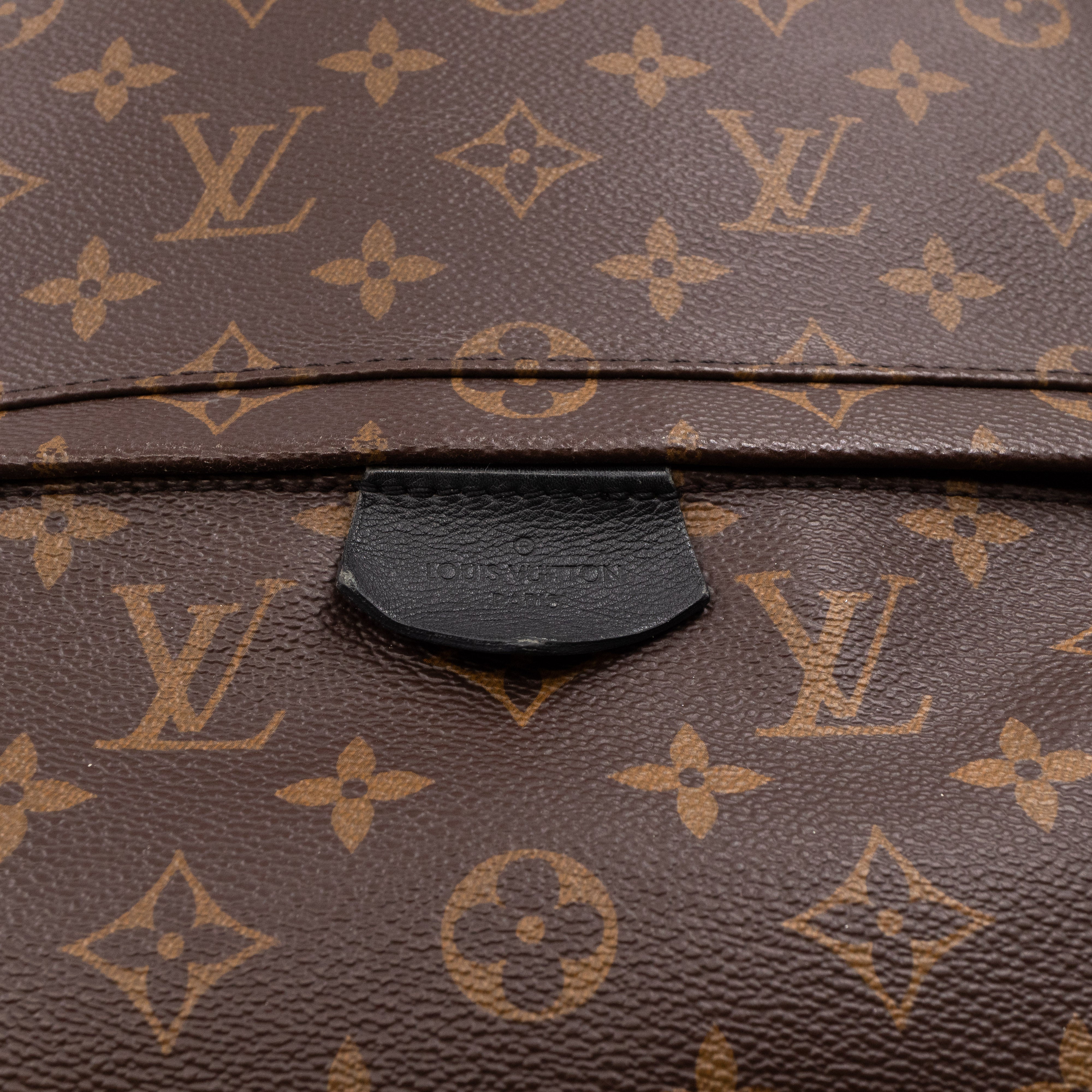Palm Springs Backpack PM Monogram Macassar