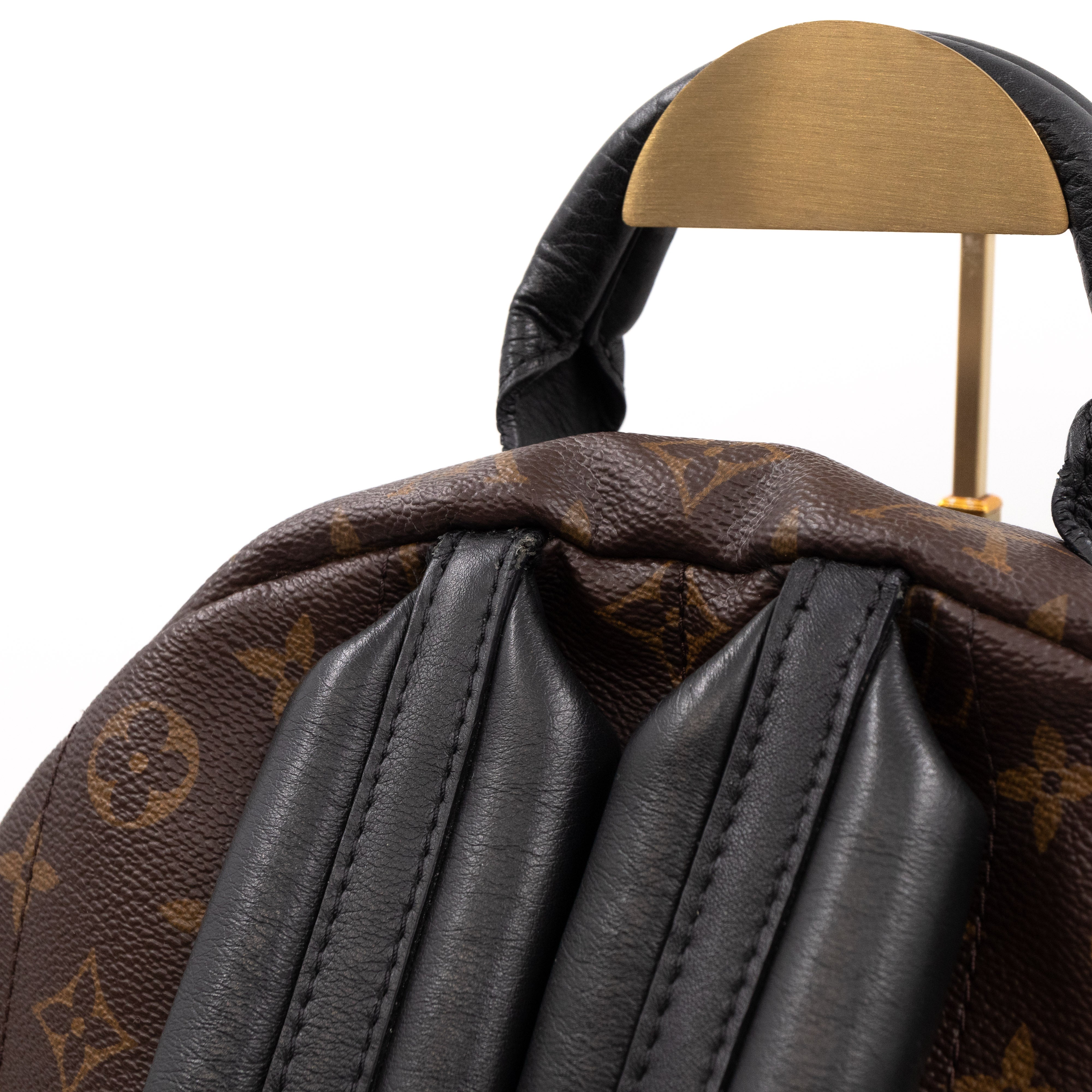 Palm Springs Backpack PM Monogram Macassar