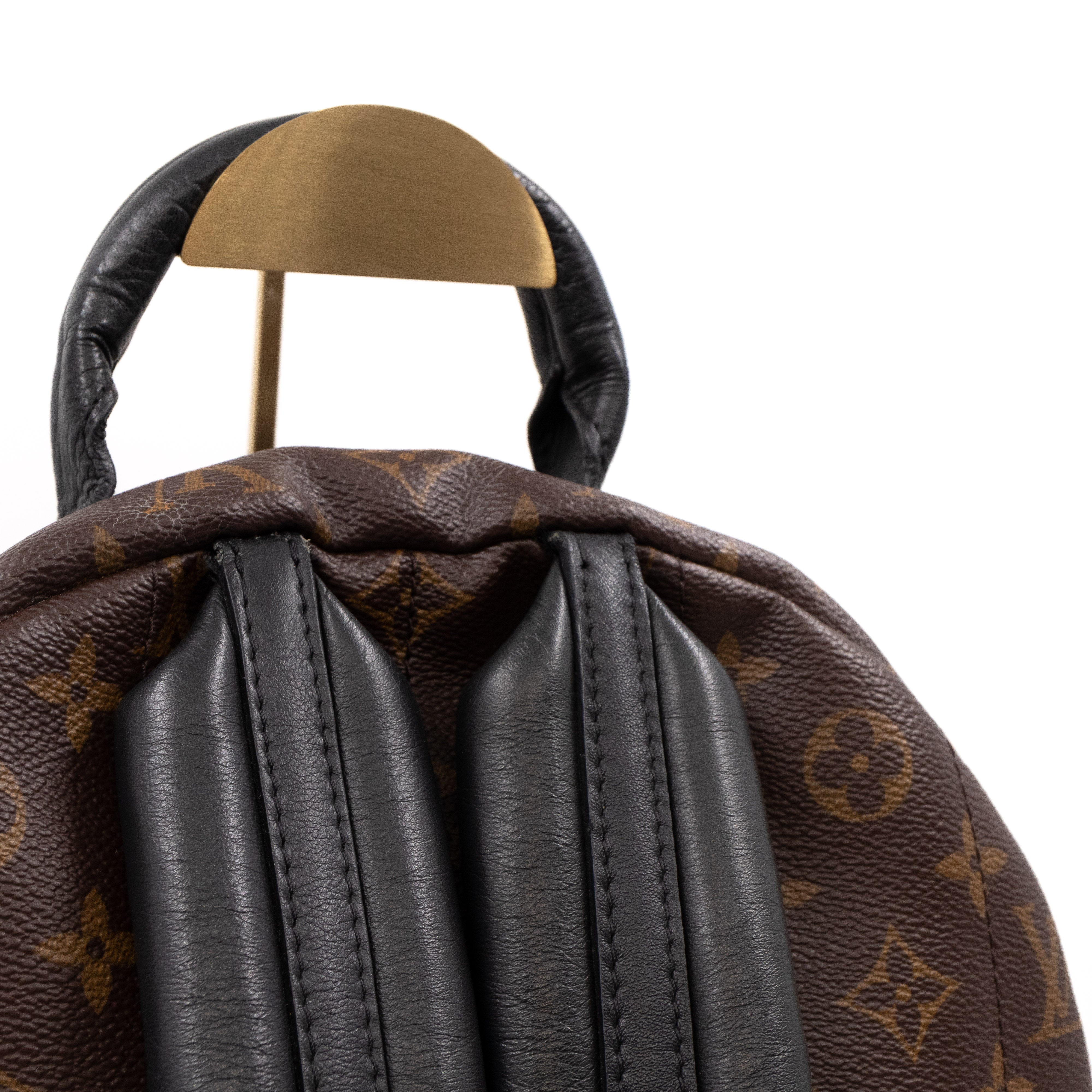 Palm Springs Backpack PM Monogram Macassar