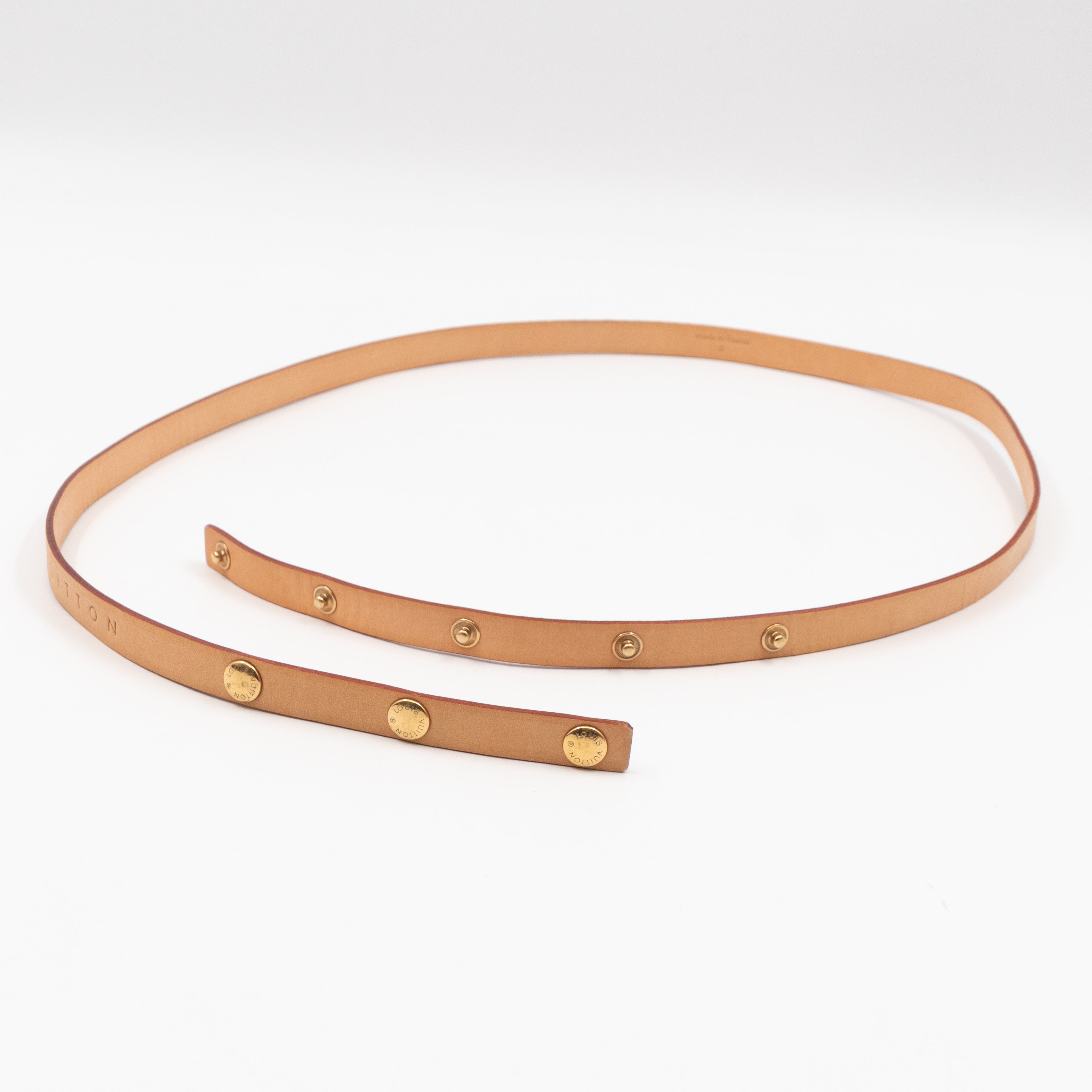Florentine Belt Bag Monogram