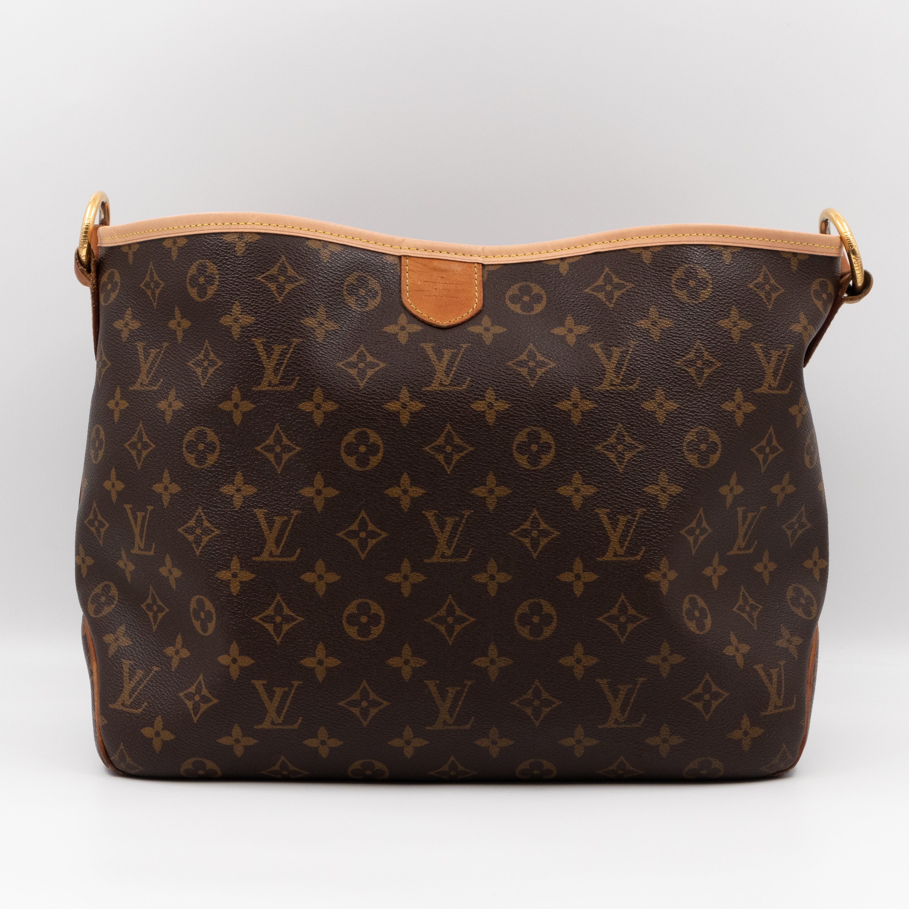 Louis vuitton delightful bag hot sale