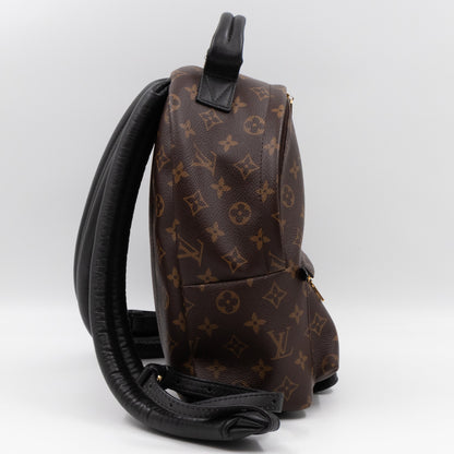 Palm Springs Backpack PM Monogram Macassar