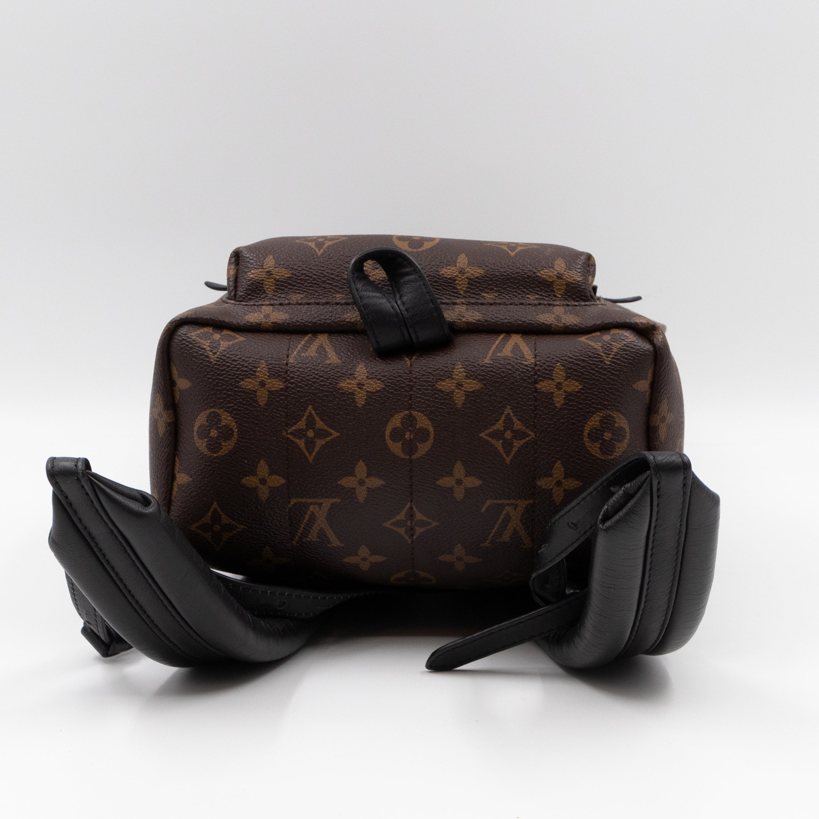 Palm Springs Backpack PM Monogram Macassar