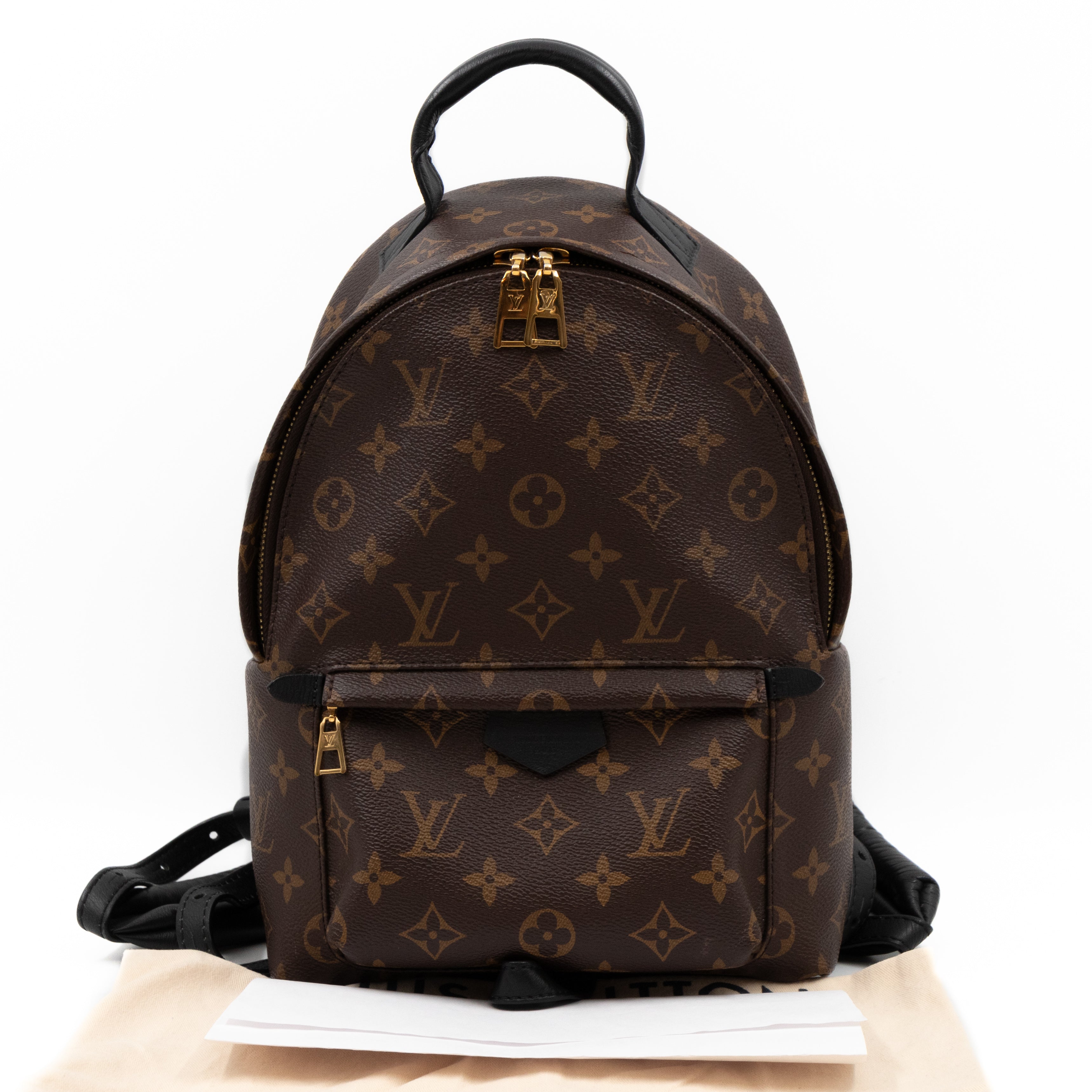 Palm Springs Backpack PM Monogram Macassar