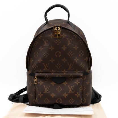 Palm Springs Backpack PM Monogram Macassar