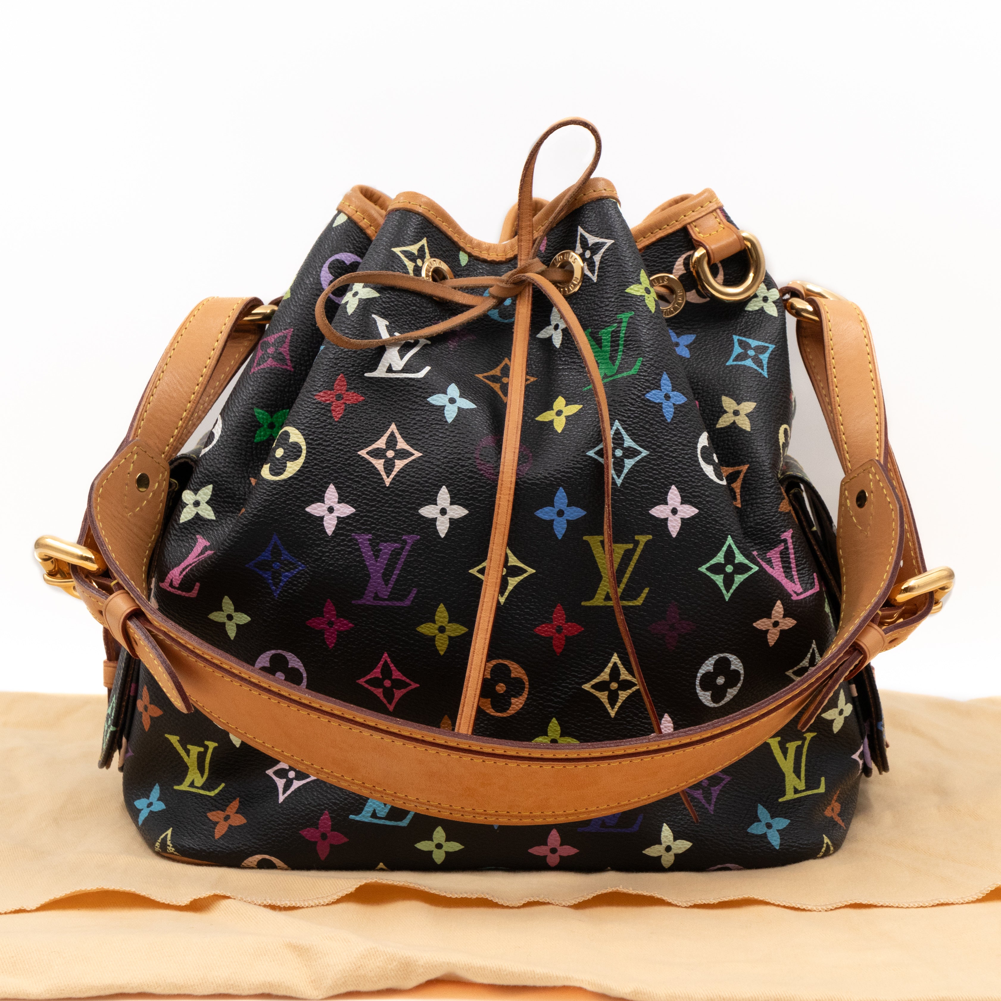 Louis vuitton multicolor online noe