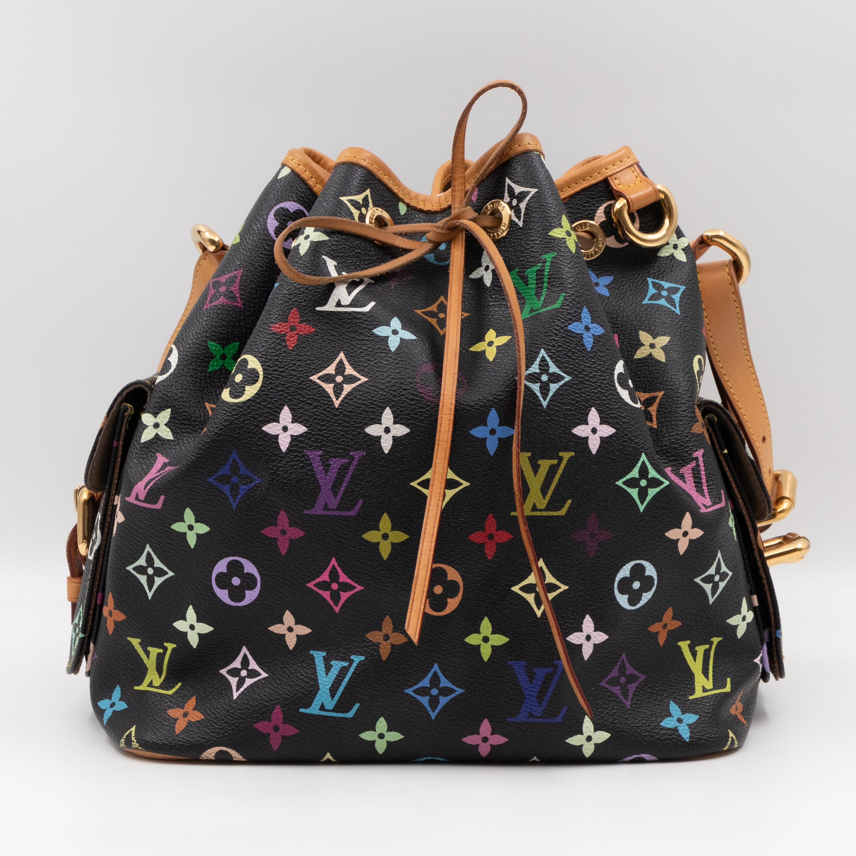 Louis vuitton discount multicolor petit noe