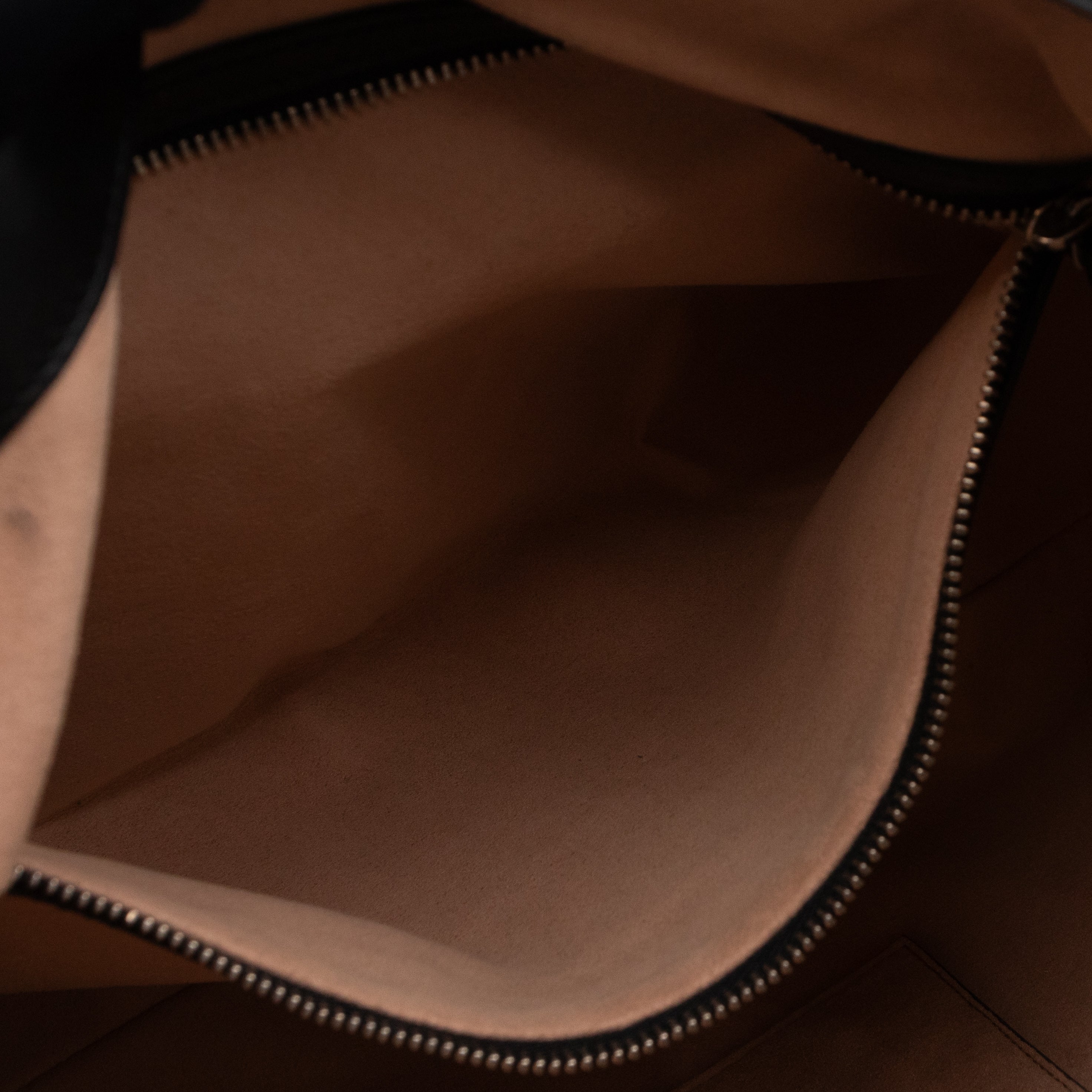 Dionysus Medium Hobo Web Black Leather