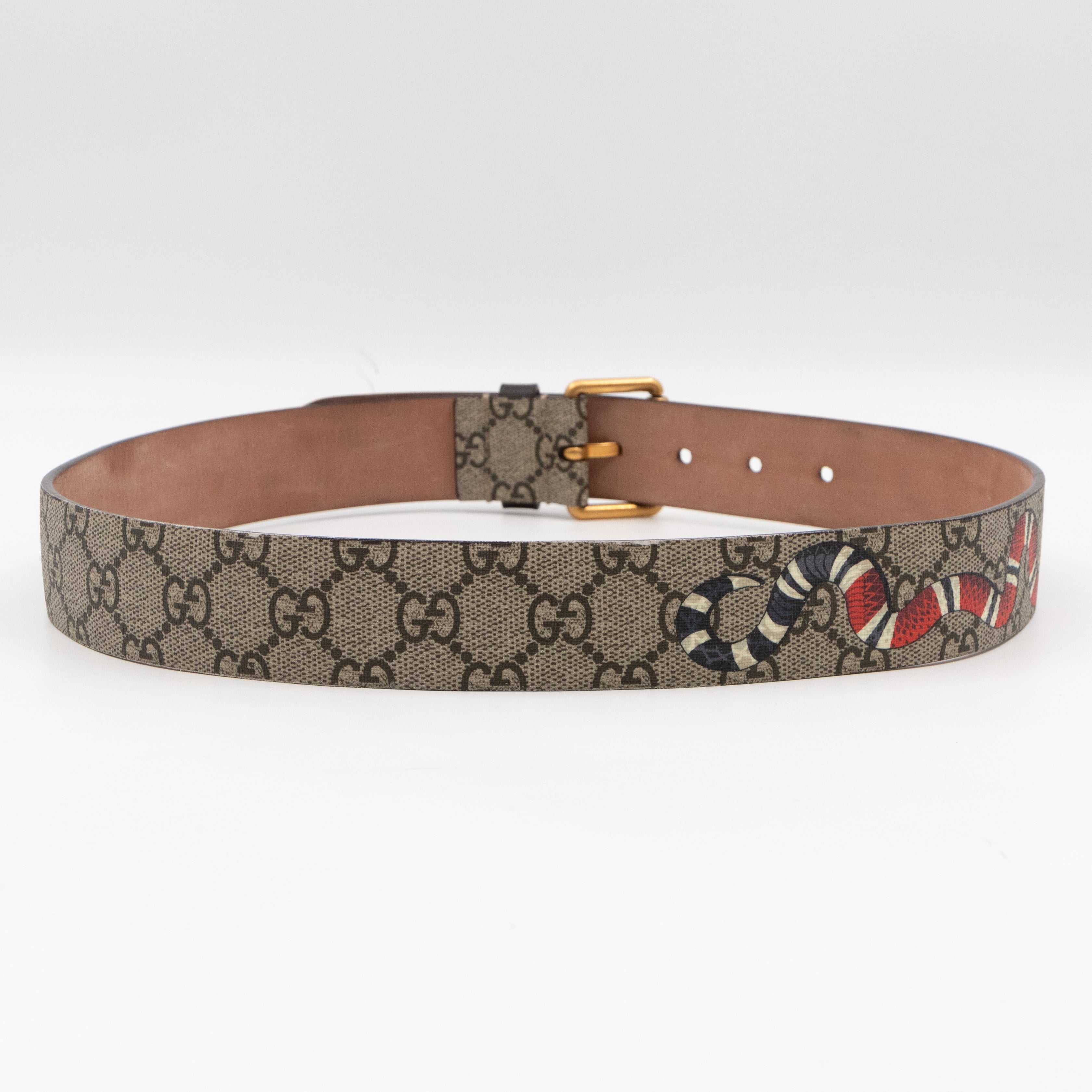 Gg supreme belt 2024 with kingsnake print