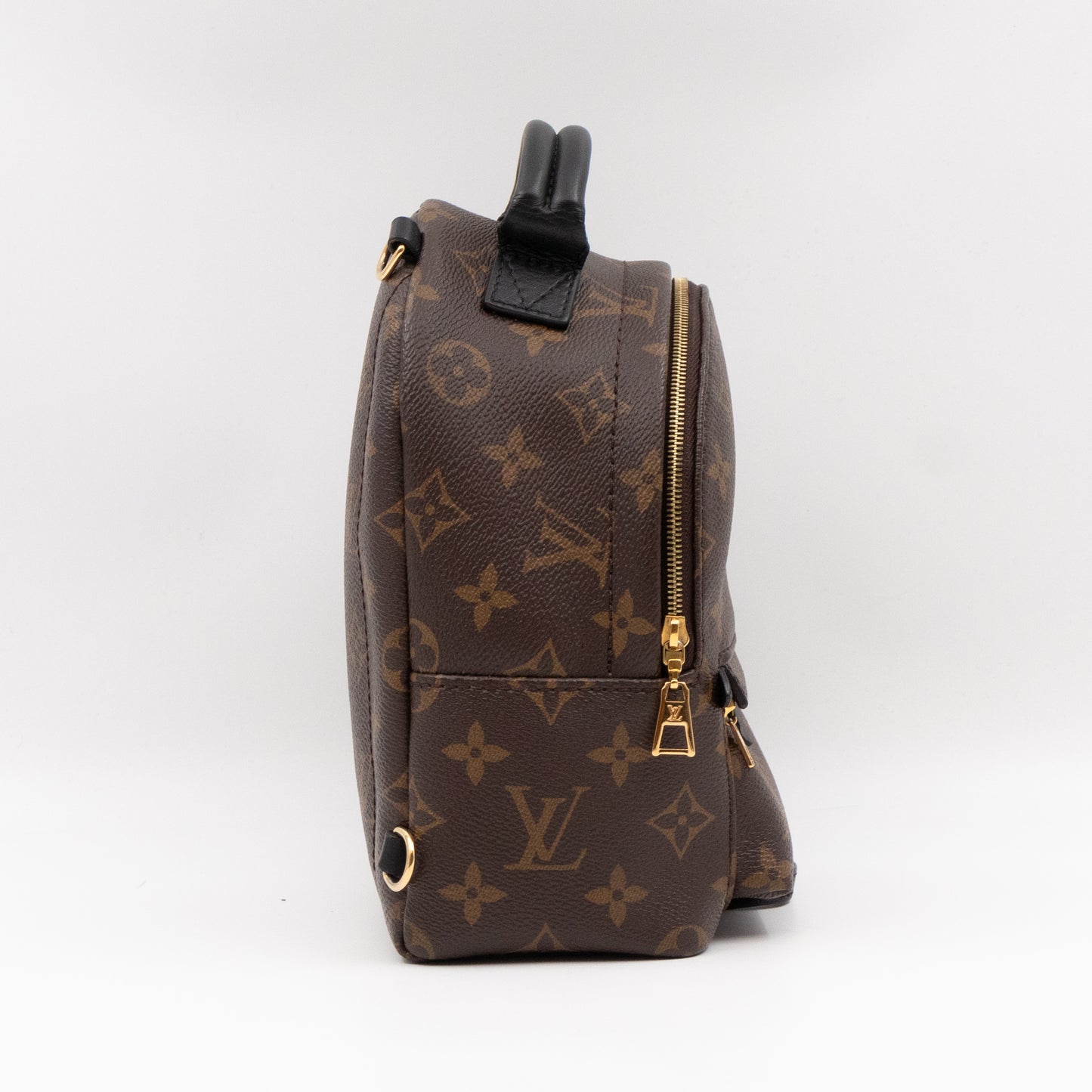 Palm Springs Backpack Mini Monogram Macassar