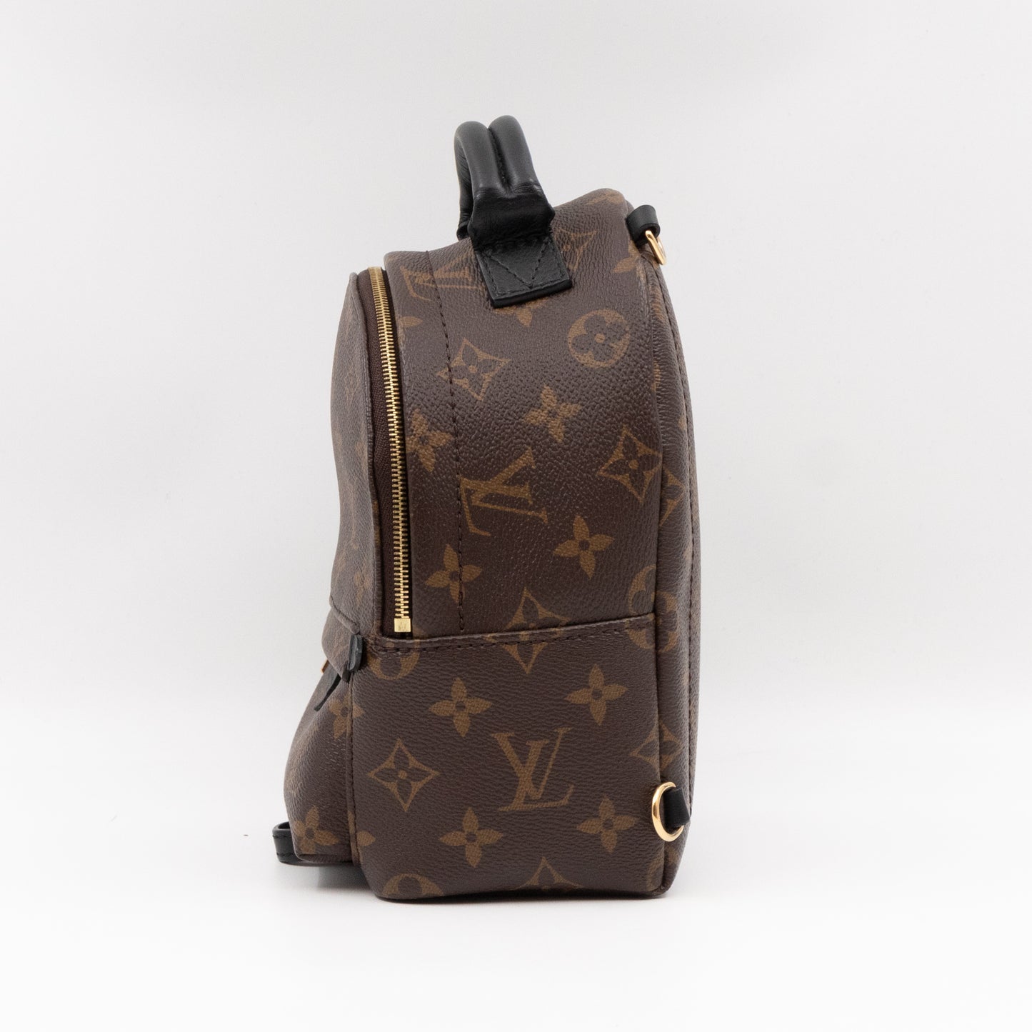 Palm Springs Backpack Mini Monogram Macassar