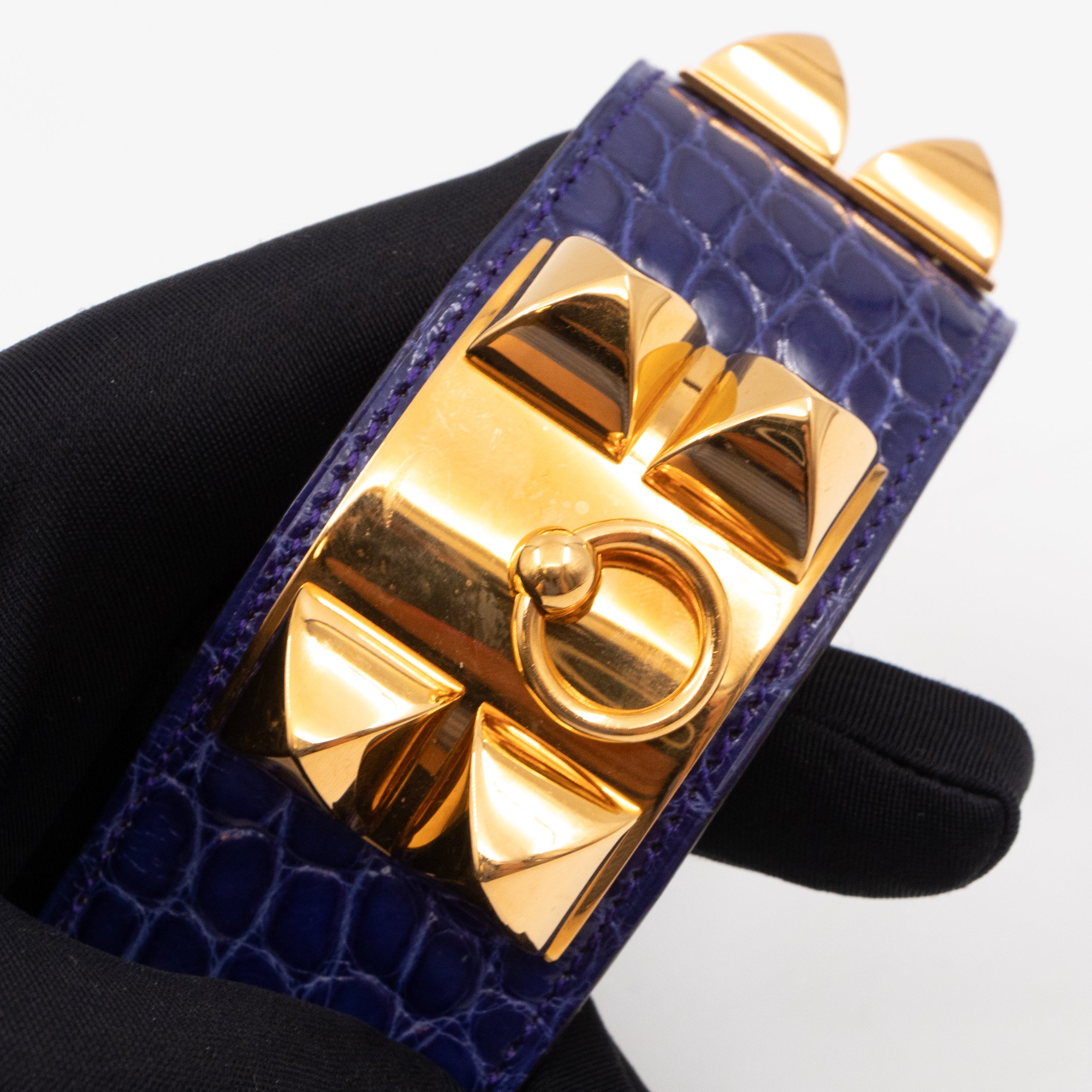 Collier de Chien Alligator Bleu Electrique & Gold Bracelet