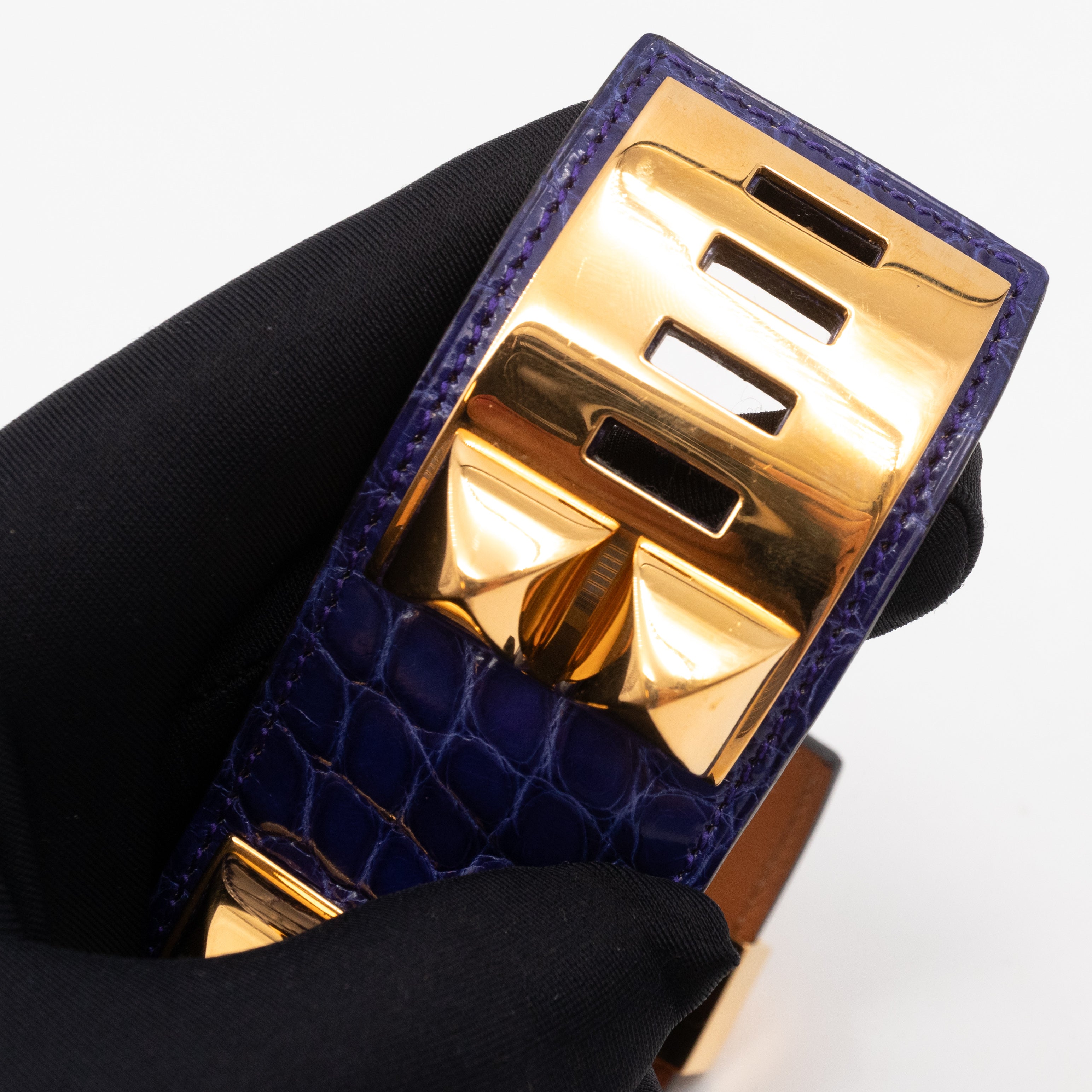 Collier de Chien Alligator Bleu Electrique & Gold Bracelet
