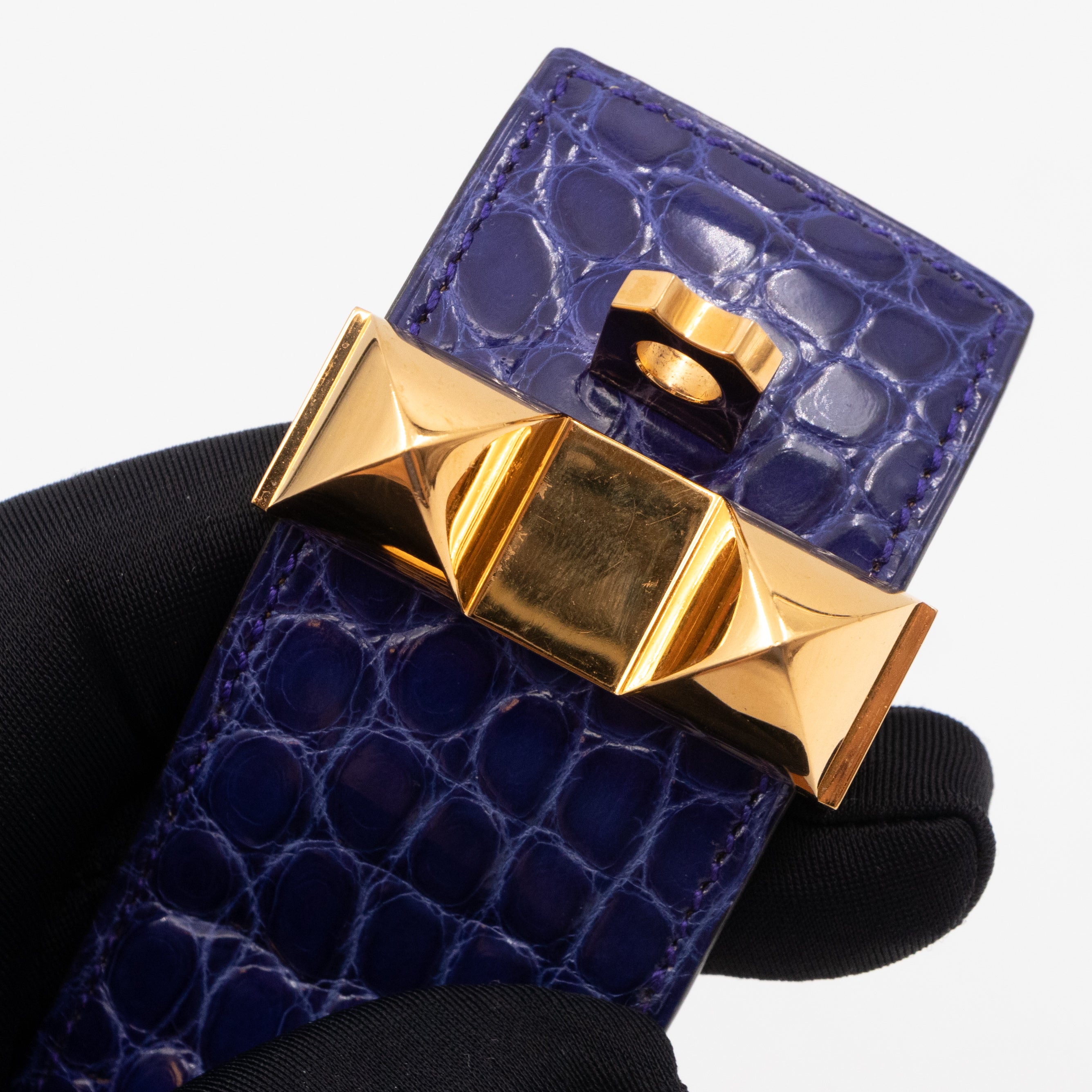 Collier de Chien Alligator Bleu Electrique & Gold Bracelet
