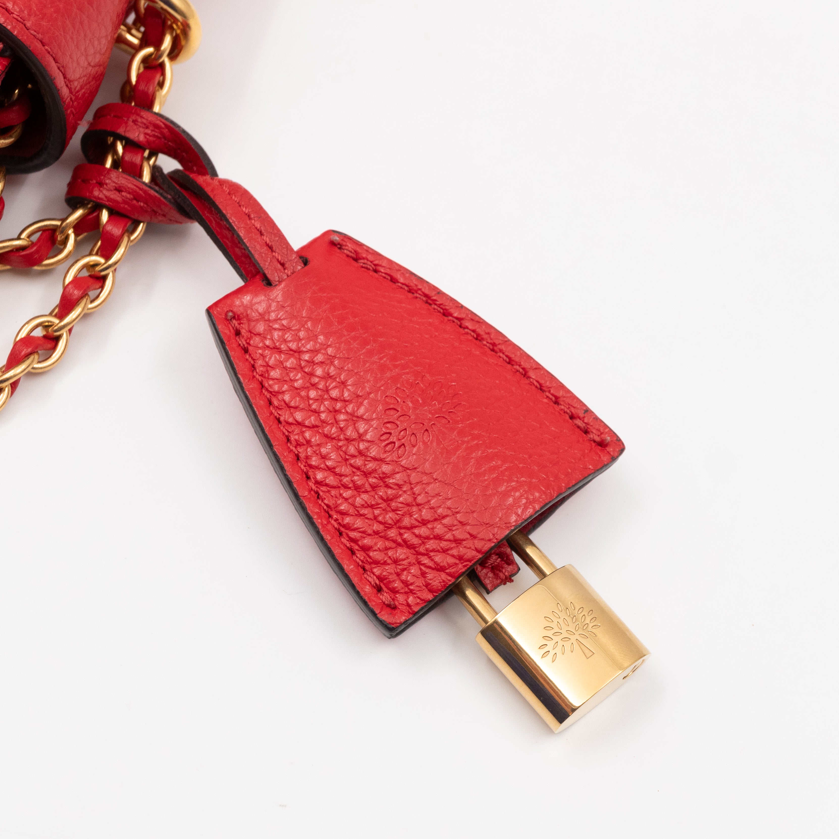 Lily Small Ruby Red Leather Gold
