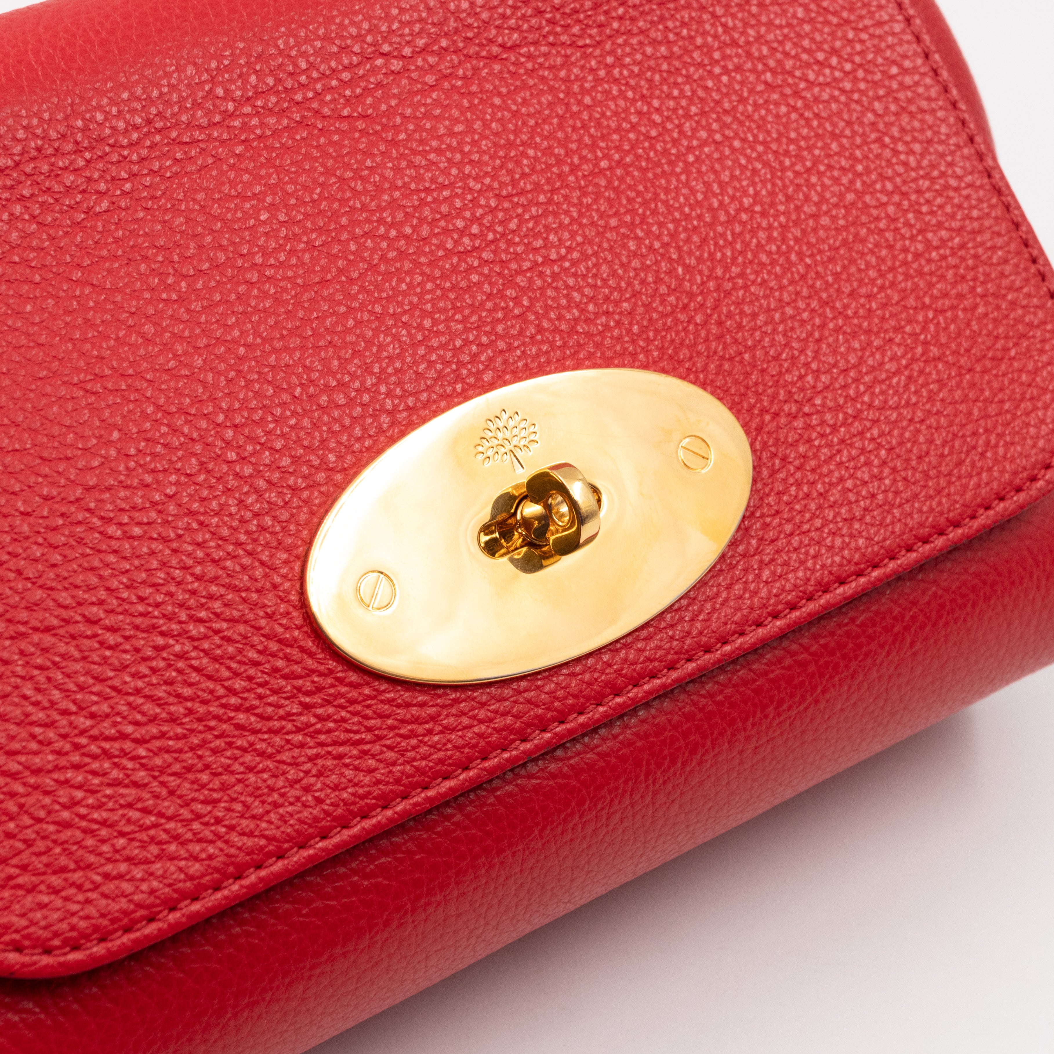 Lily Small Ruby Red Leather Gold