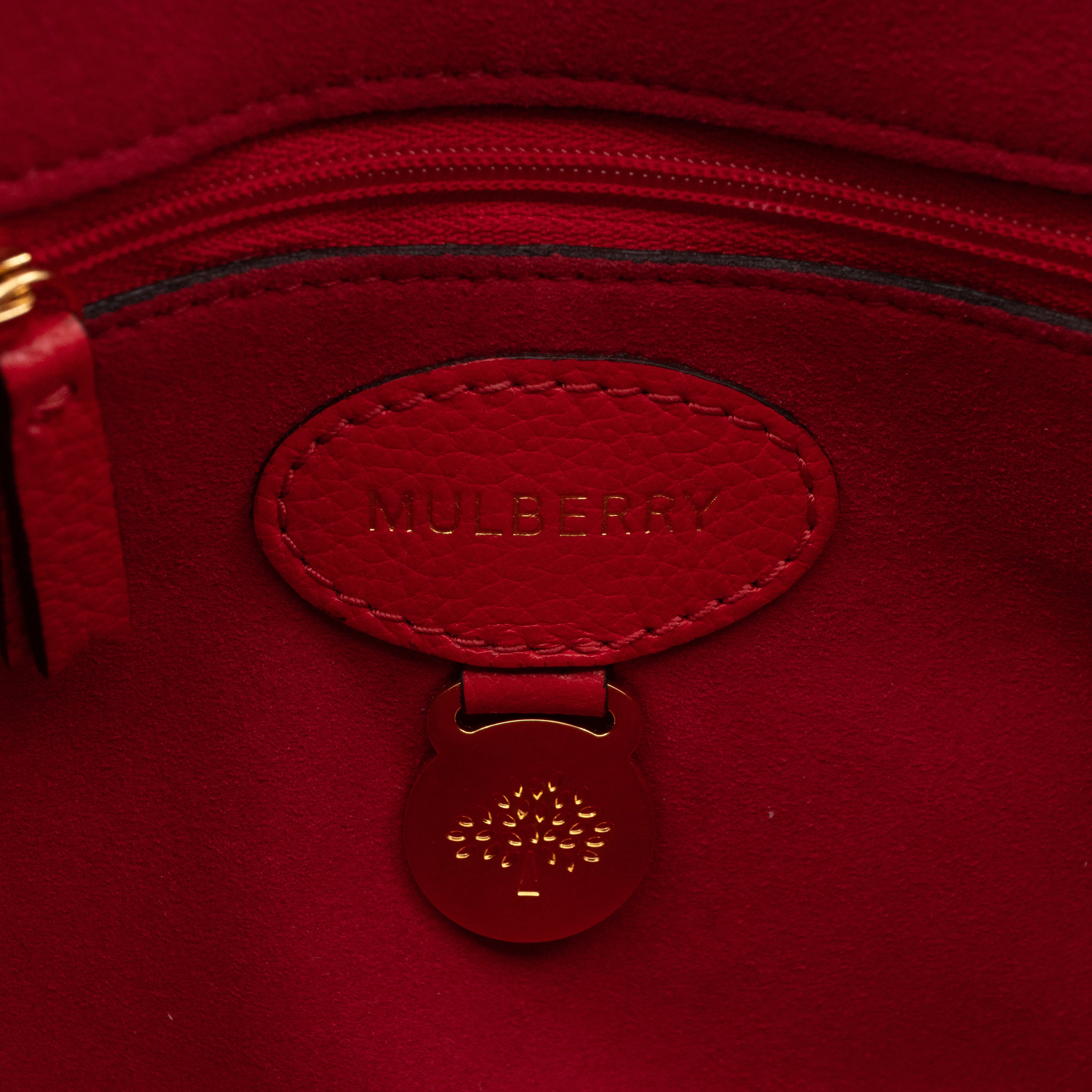 Lily Small Ruby Red Leather Gold